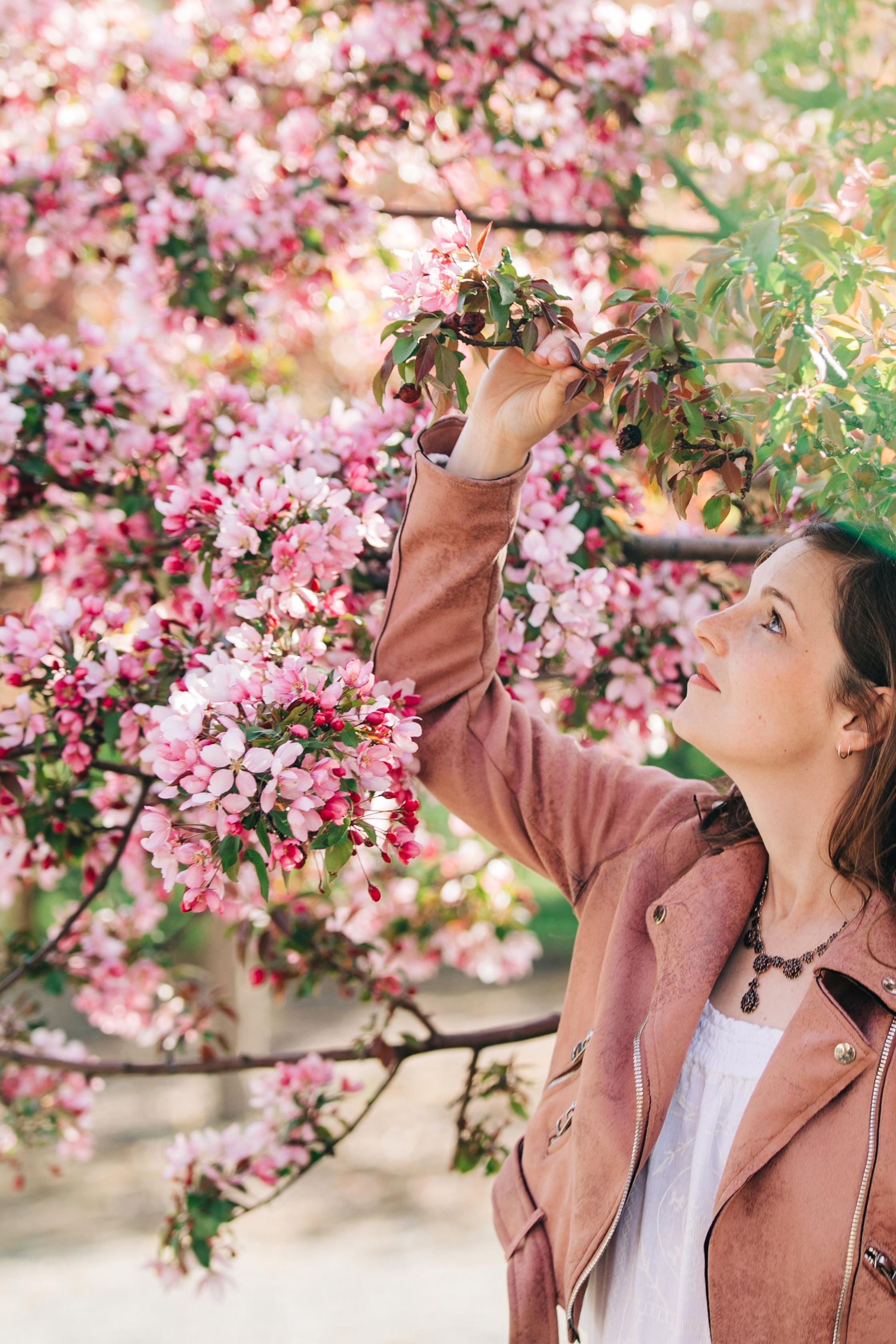 Kelsey&nbsp;— Cherry Blossom