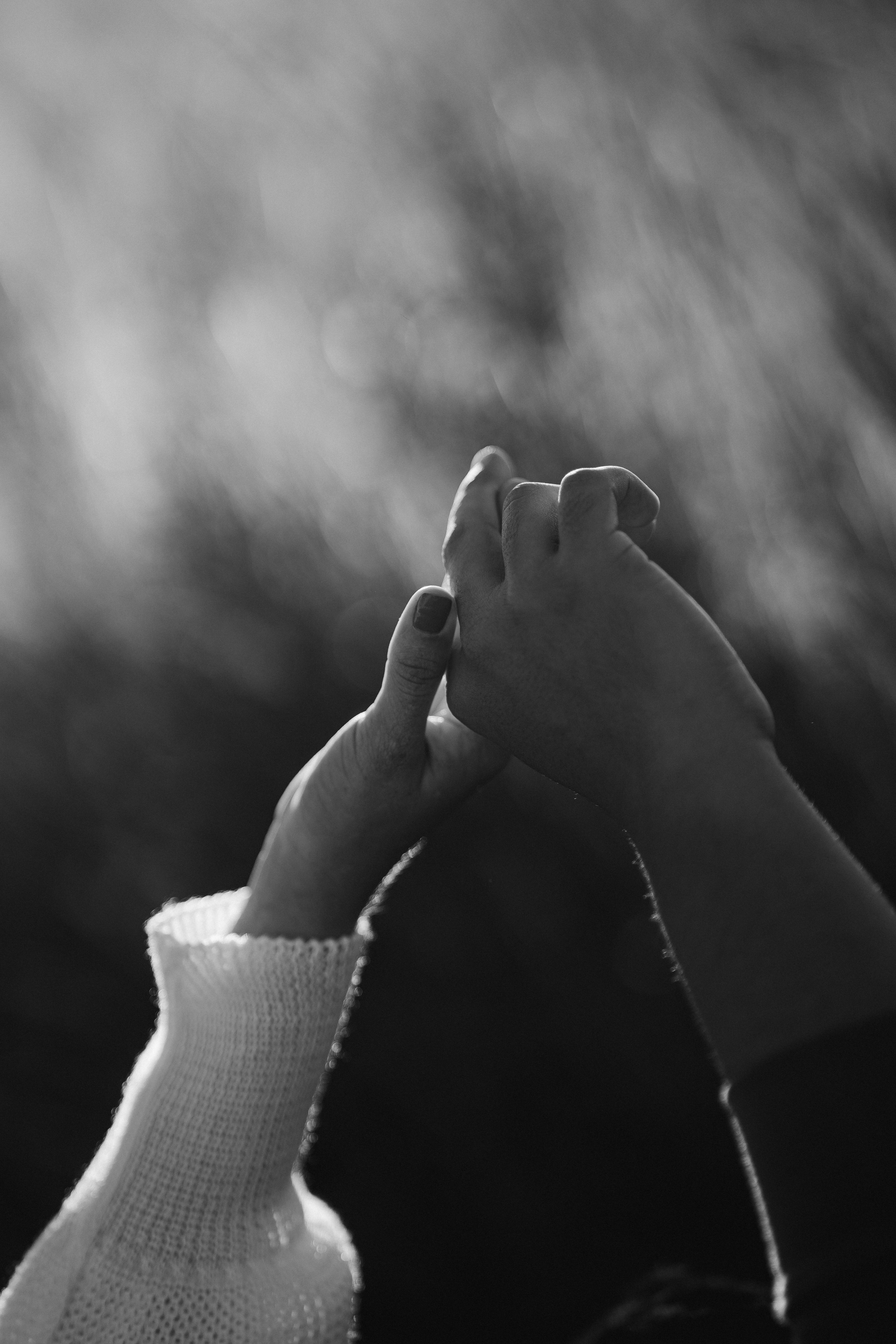 Andressa e Felipe. Vows Fotografia