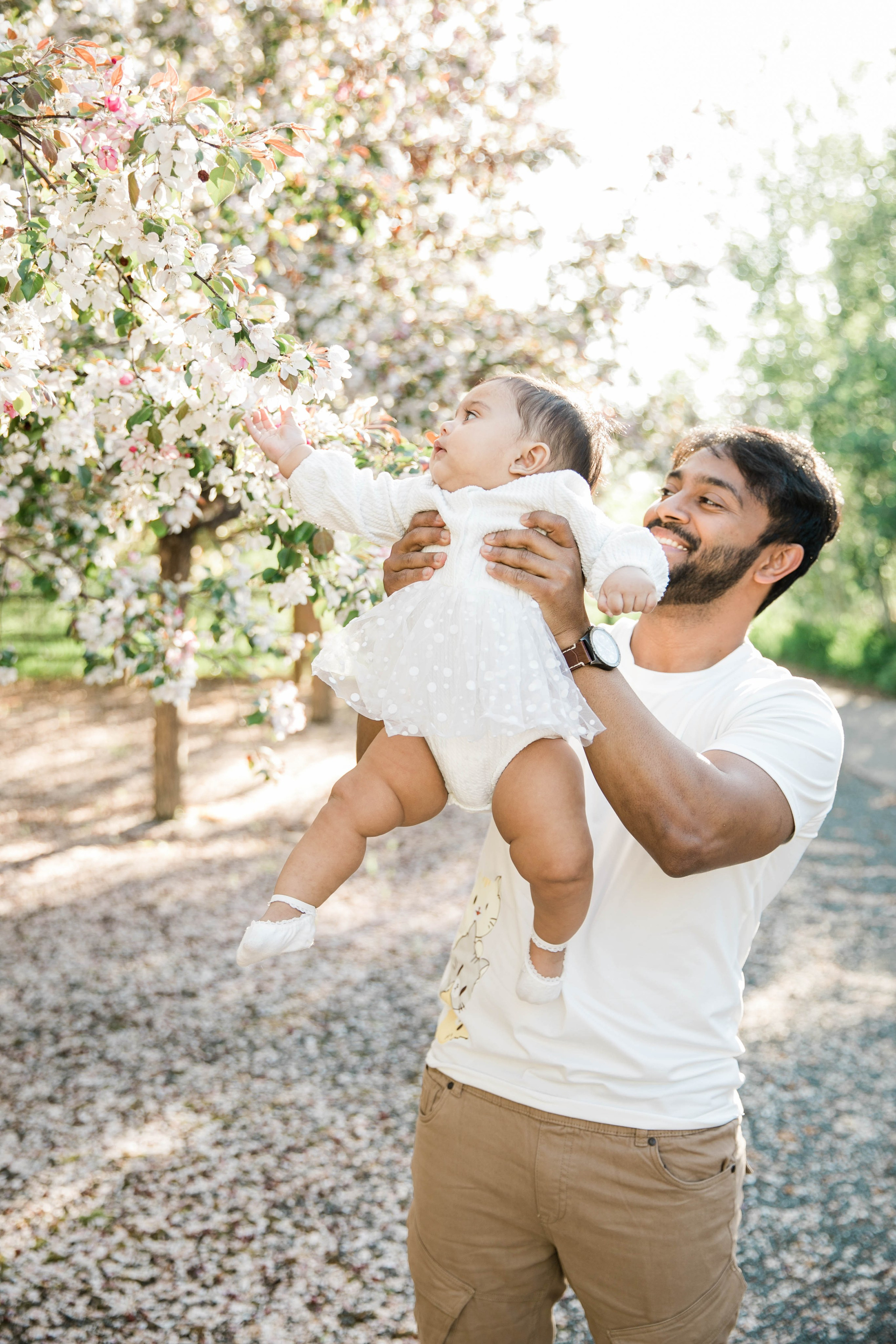 Cherry Blossom — Nabeel Family