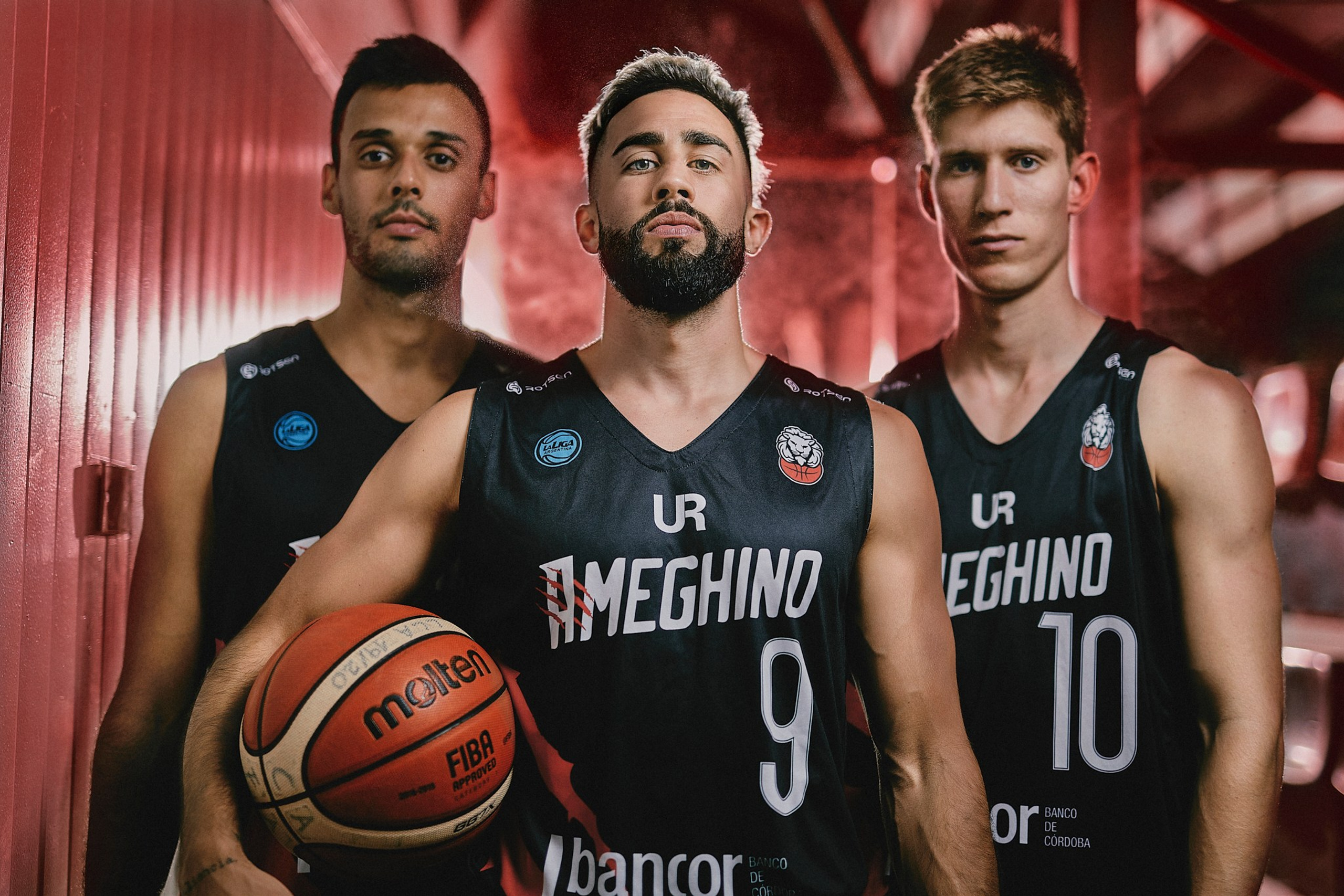 AMEGHINO | Promo