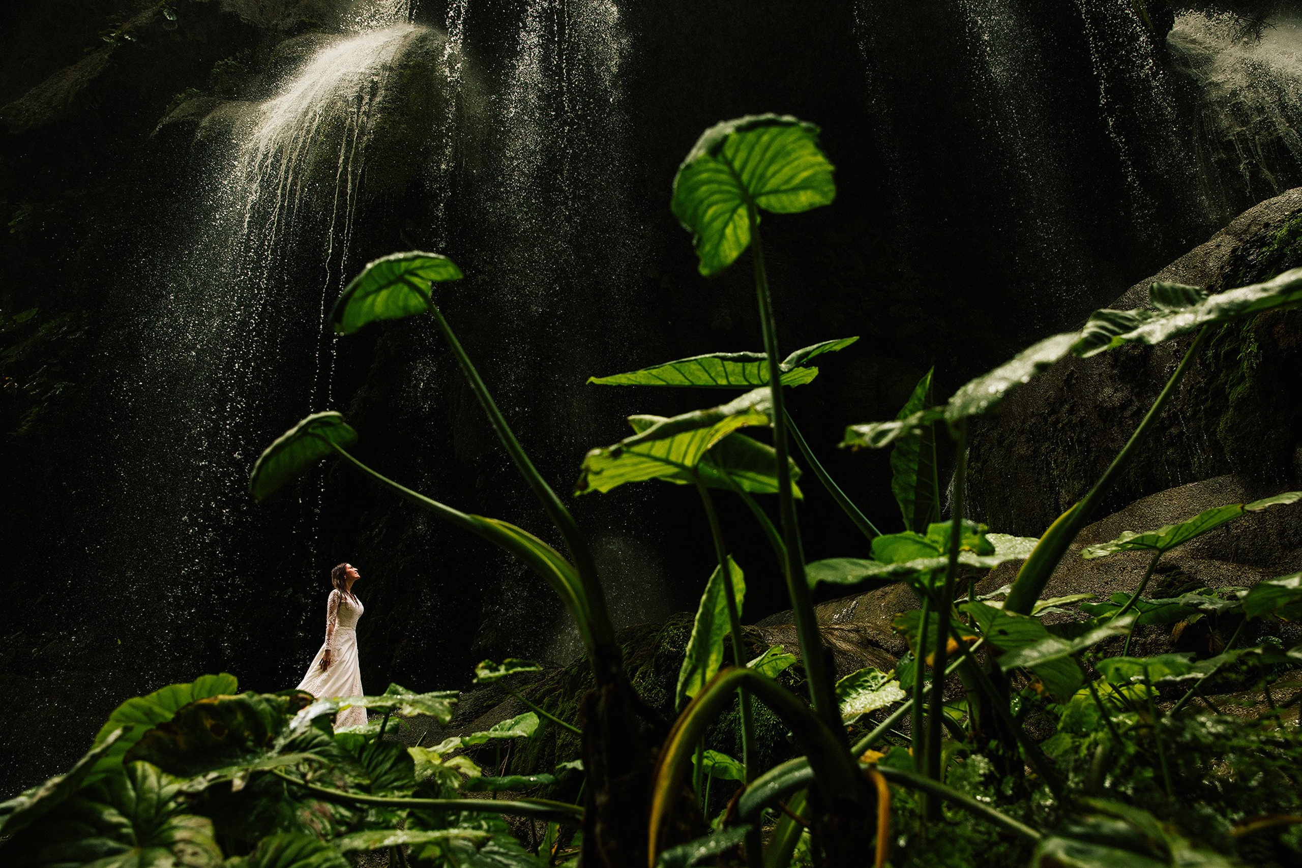 Trash The Dress