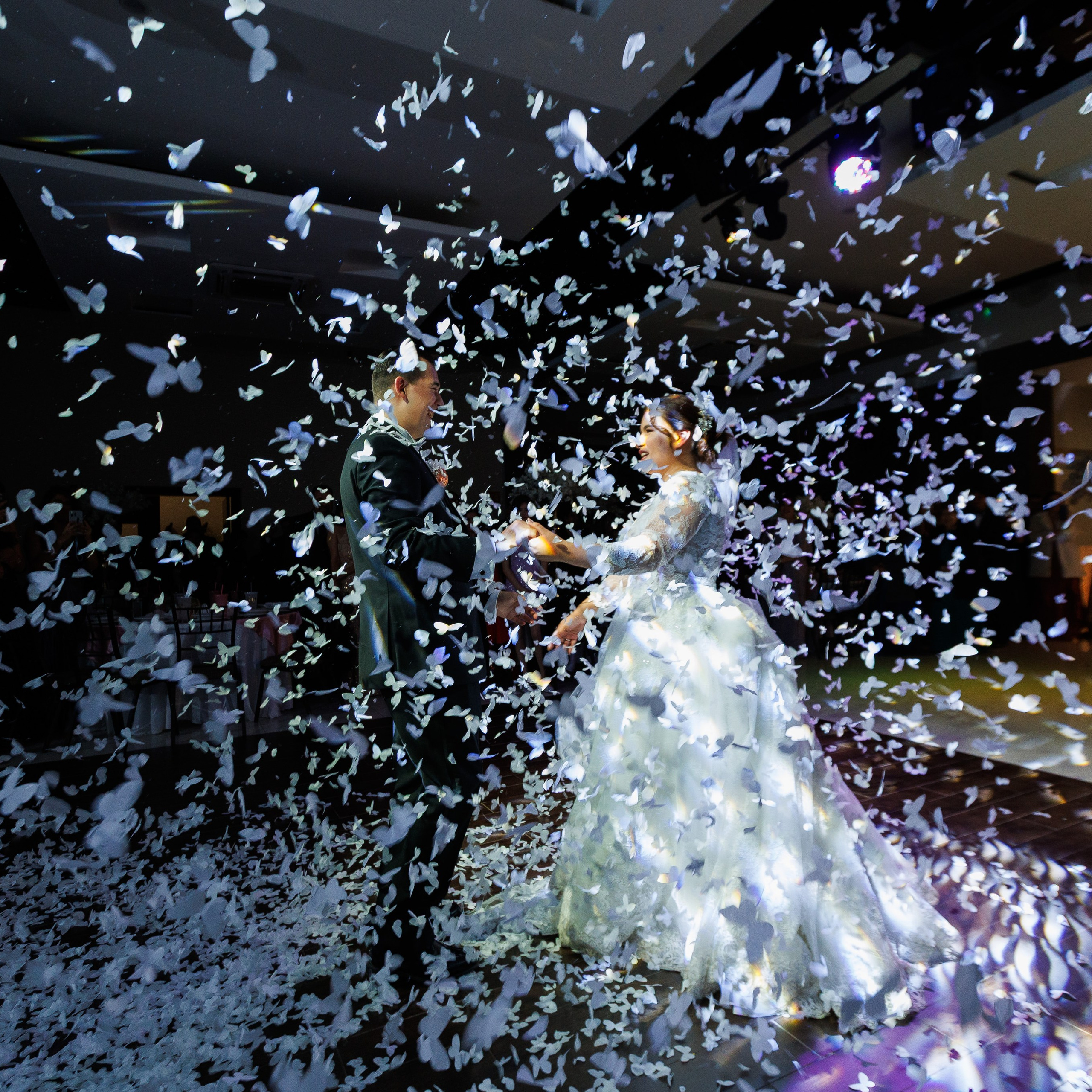María Regina XV — Una noche escrita en sueños. Lg Fotografia