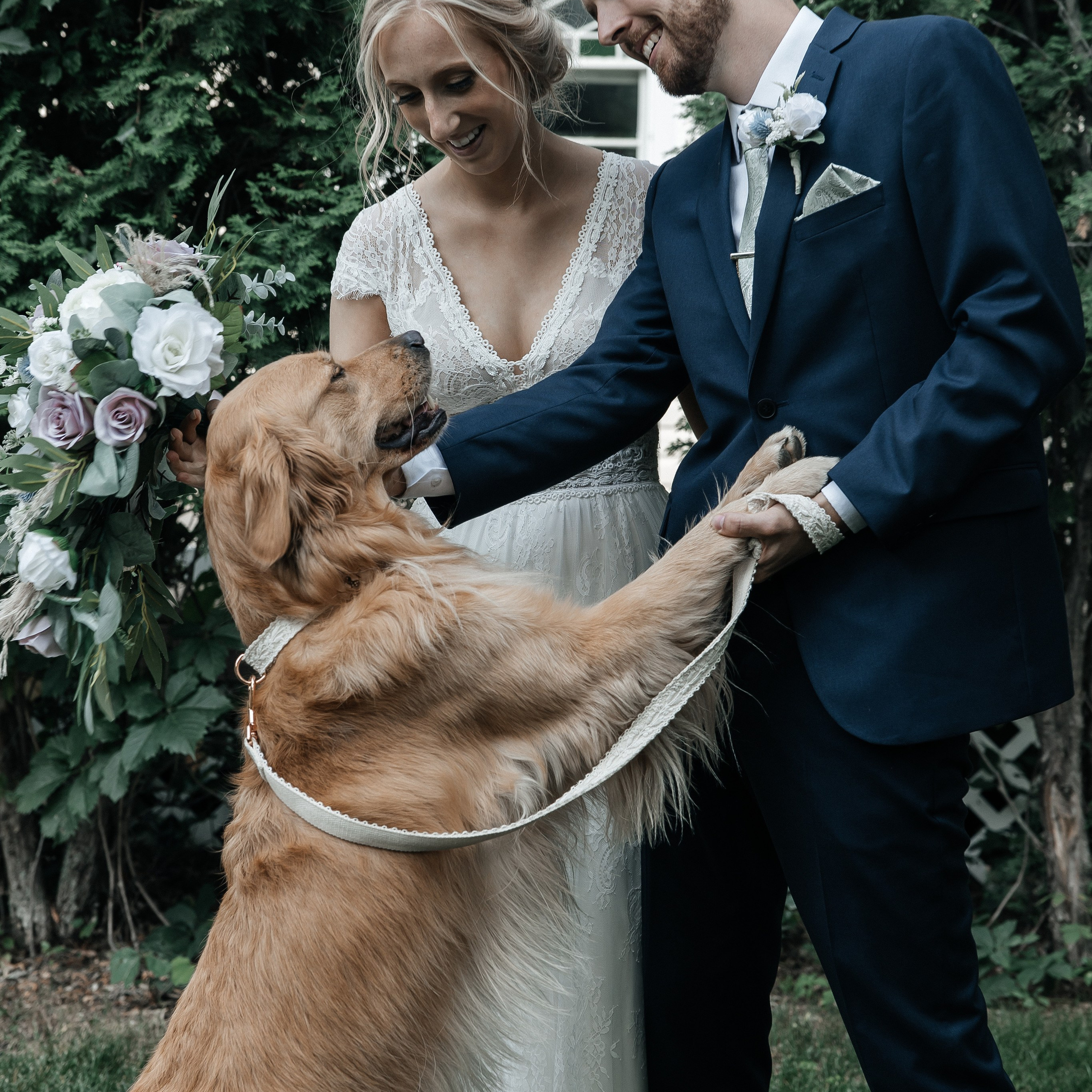 Reviews. Wedding Photographer in Winnipeg — Cinematic & Timeless by Vitiuk Photography