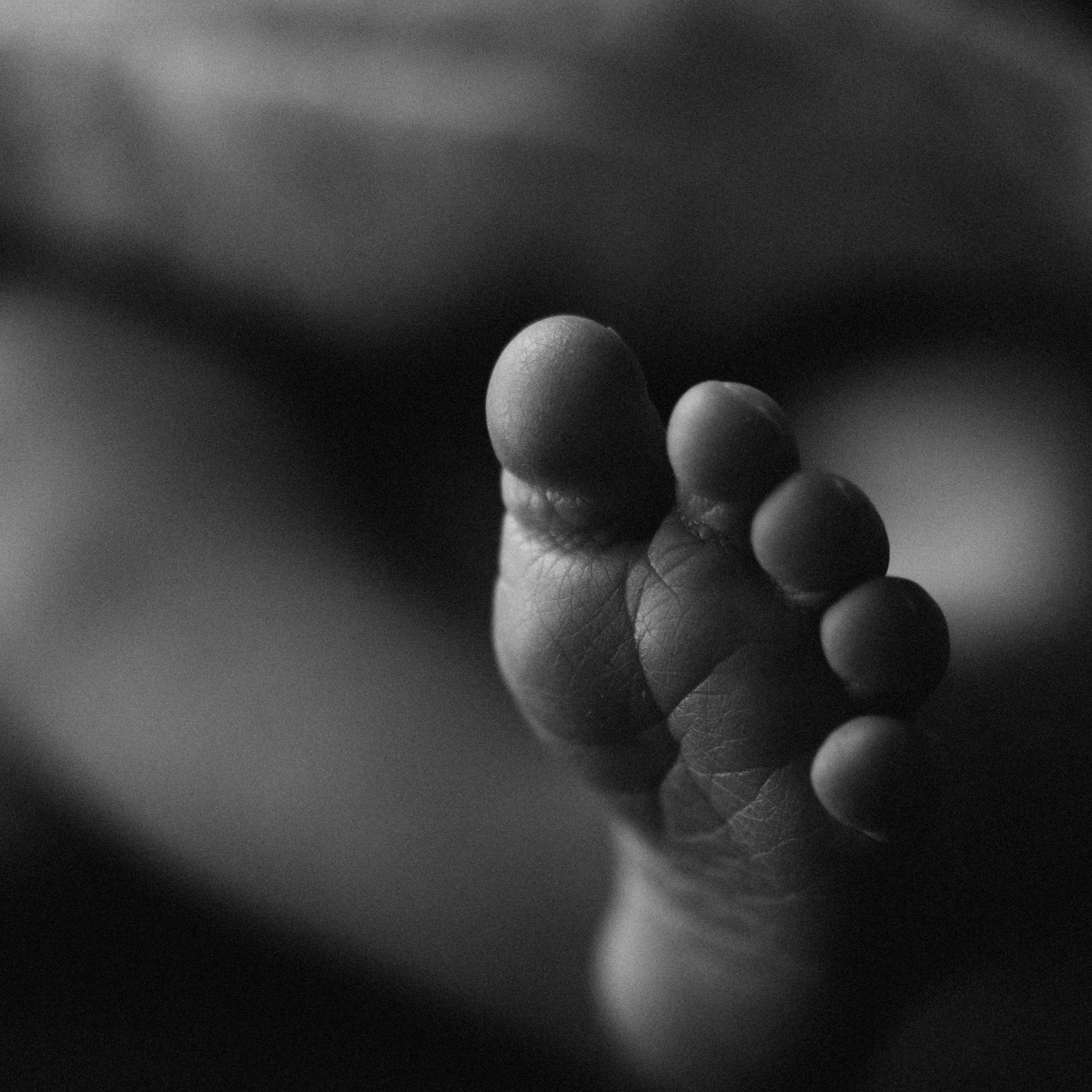 Newborn