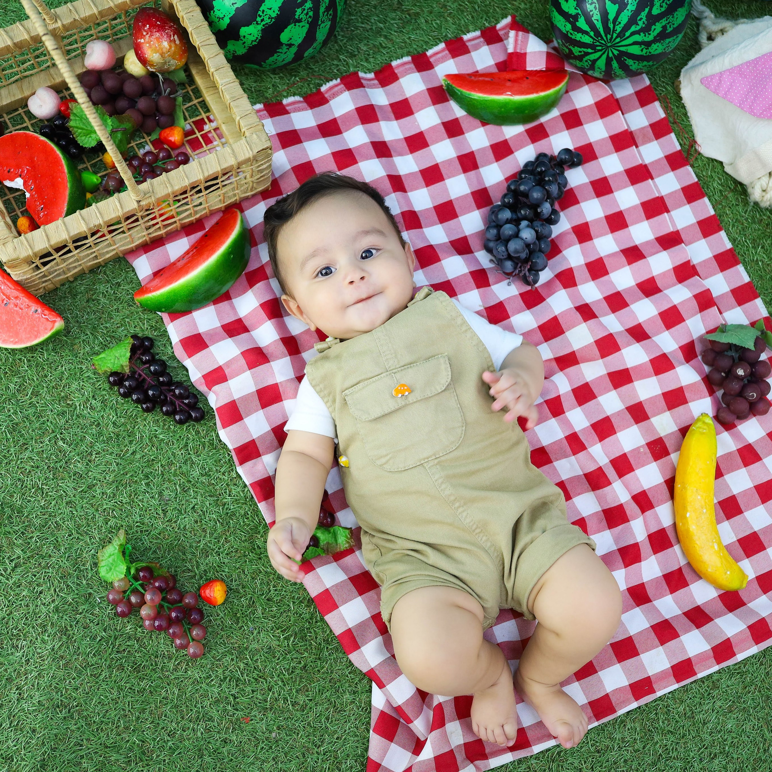 Frutinha/Picnic (6M-12M)