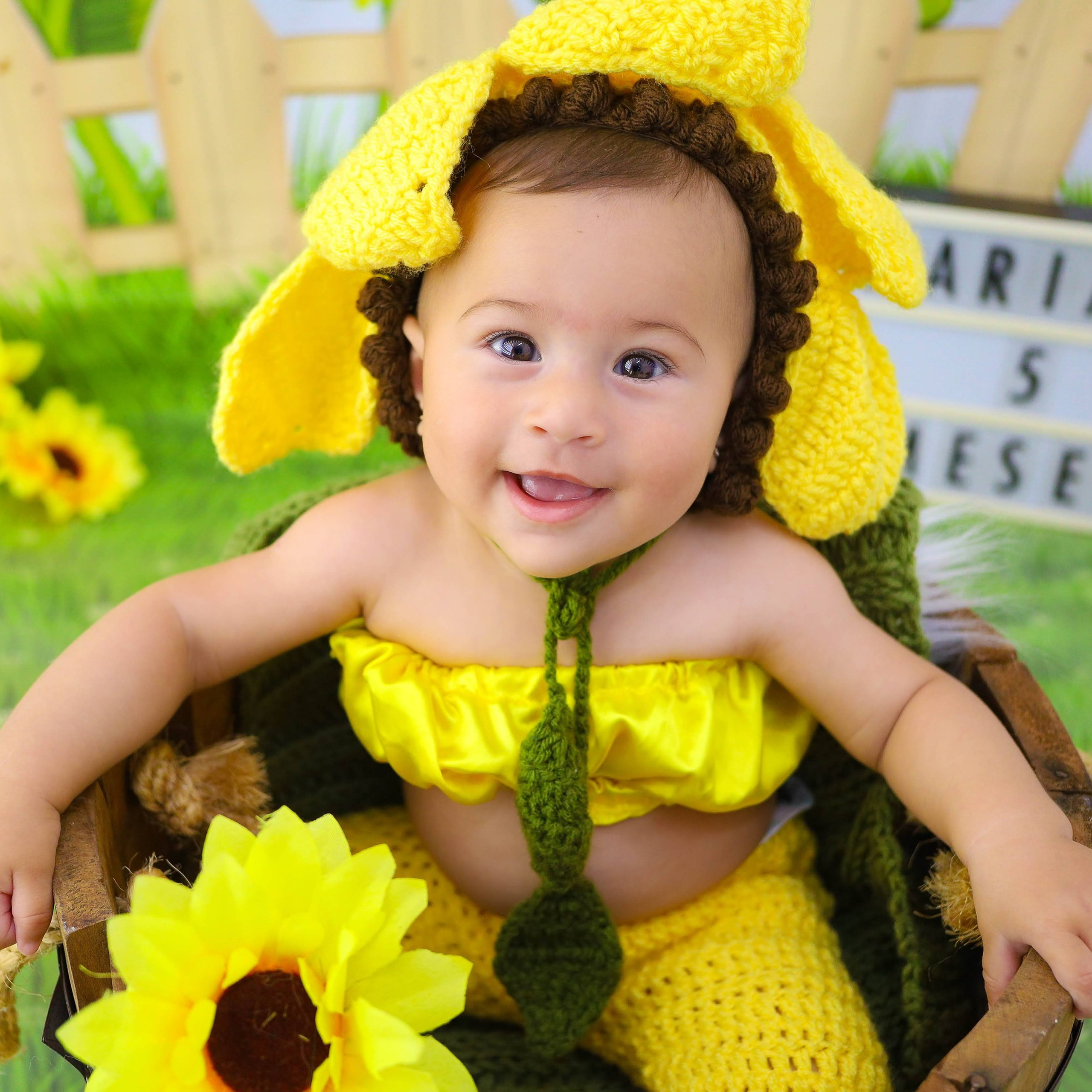 Girassol (3M-12M)
