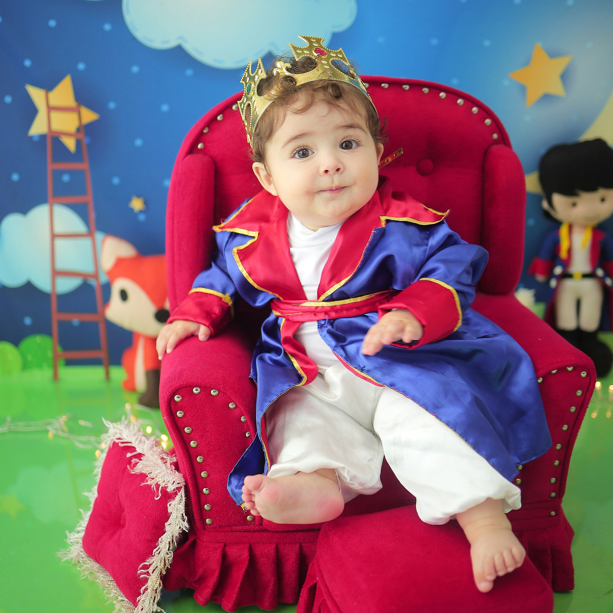 Pequeno Princípe (8M-12M)