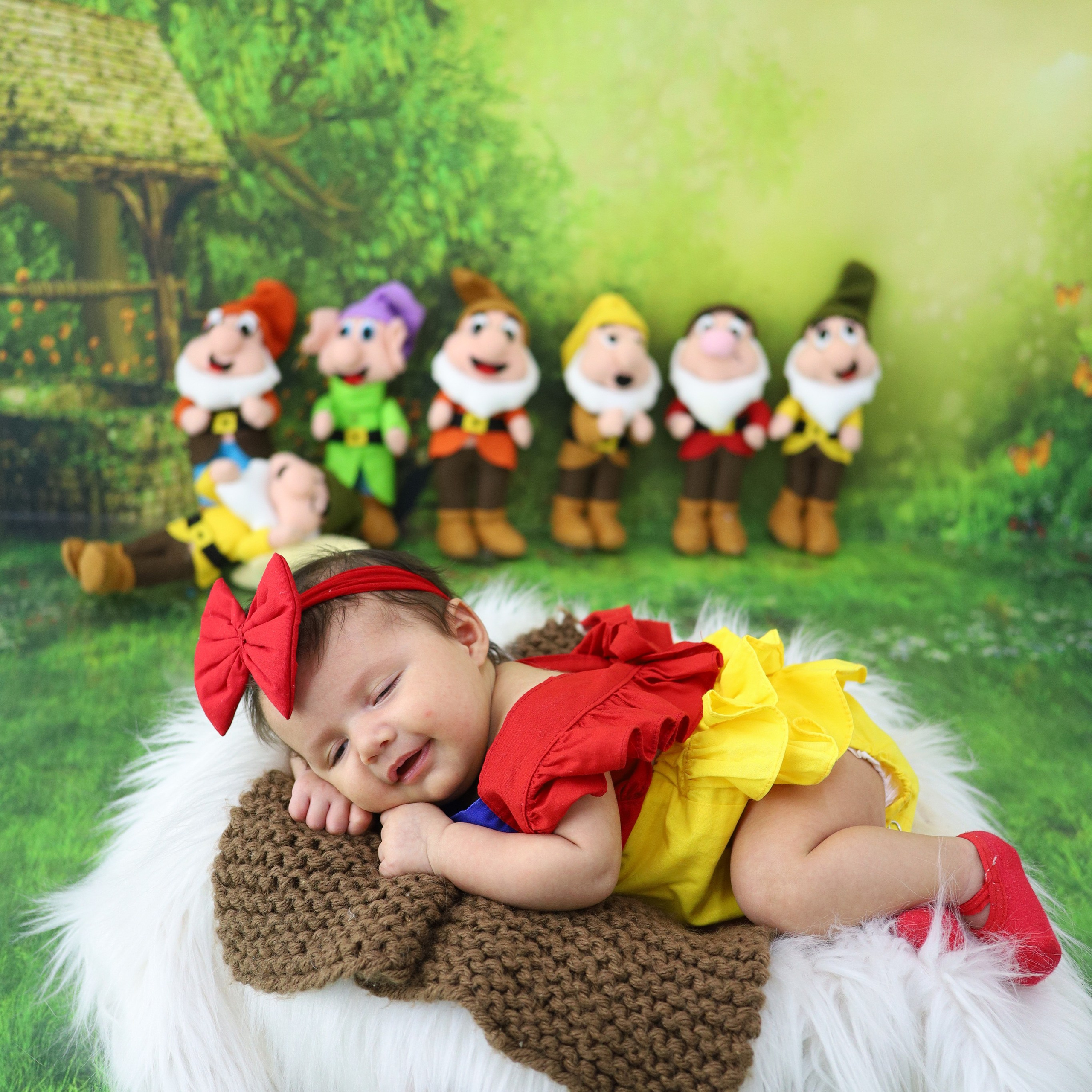 Branca de&nbsp;Neve (1M-12M)