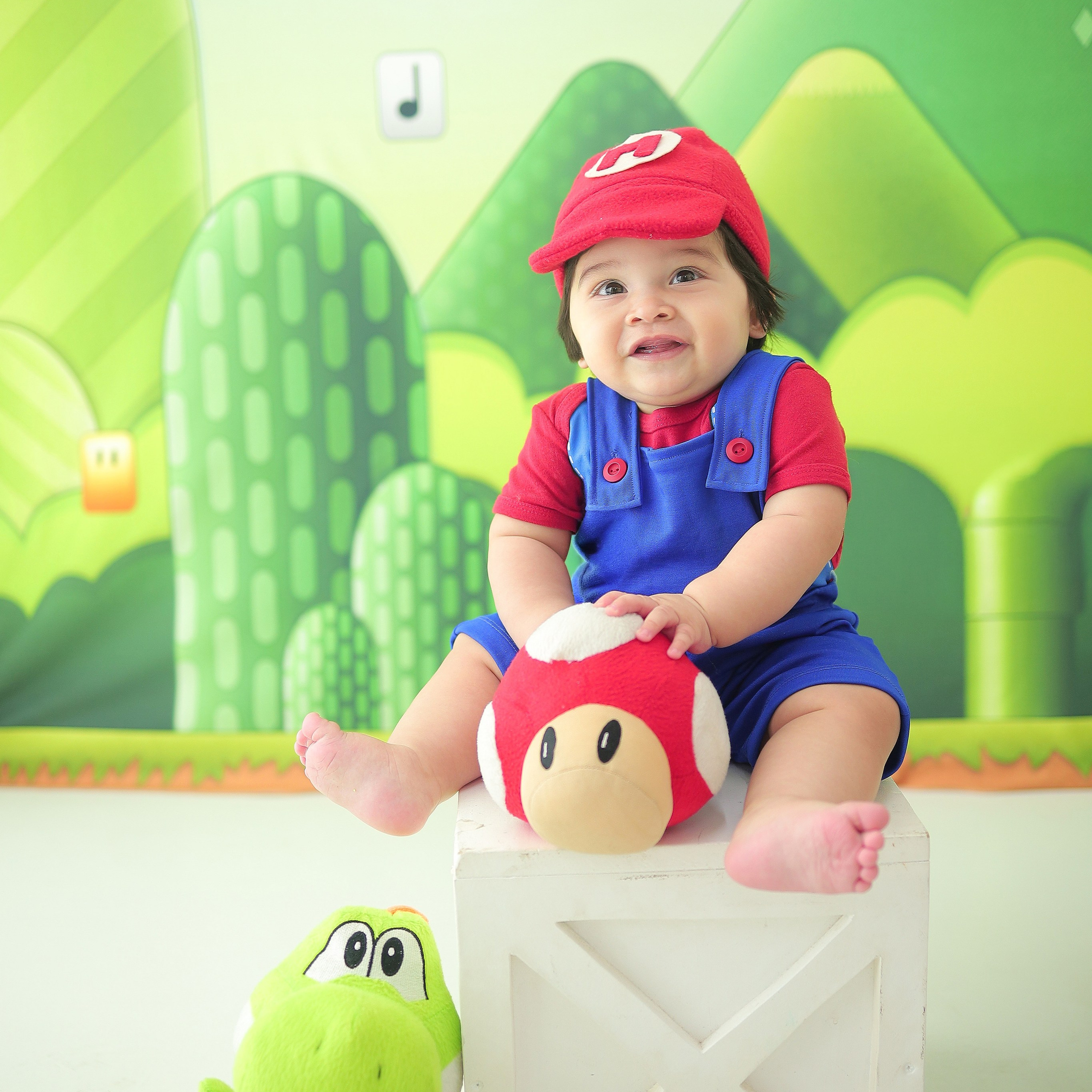 Mario Bros (P)