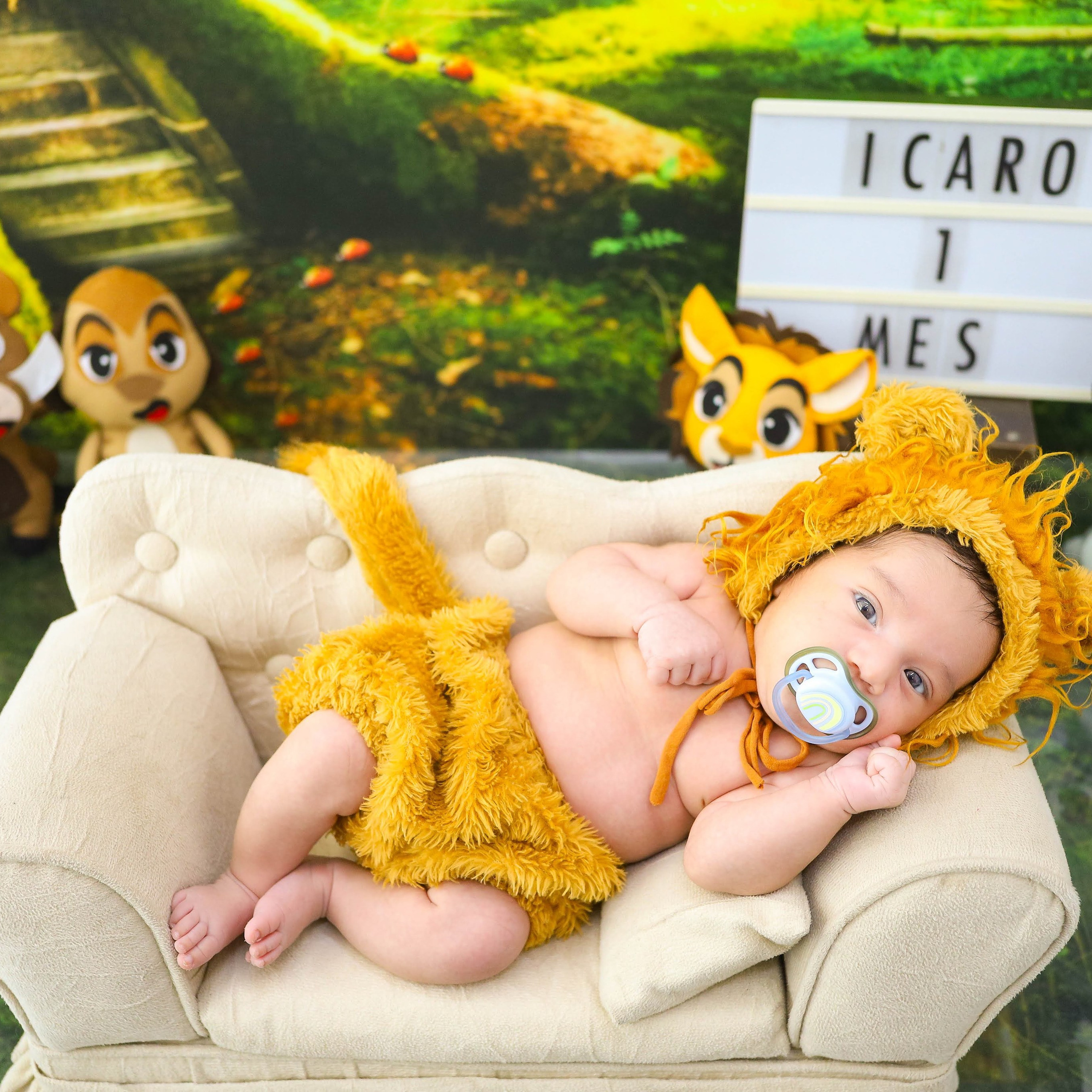 Leãozinho (1M-12M)