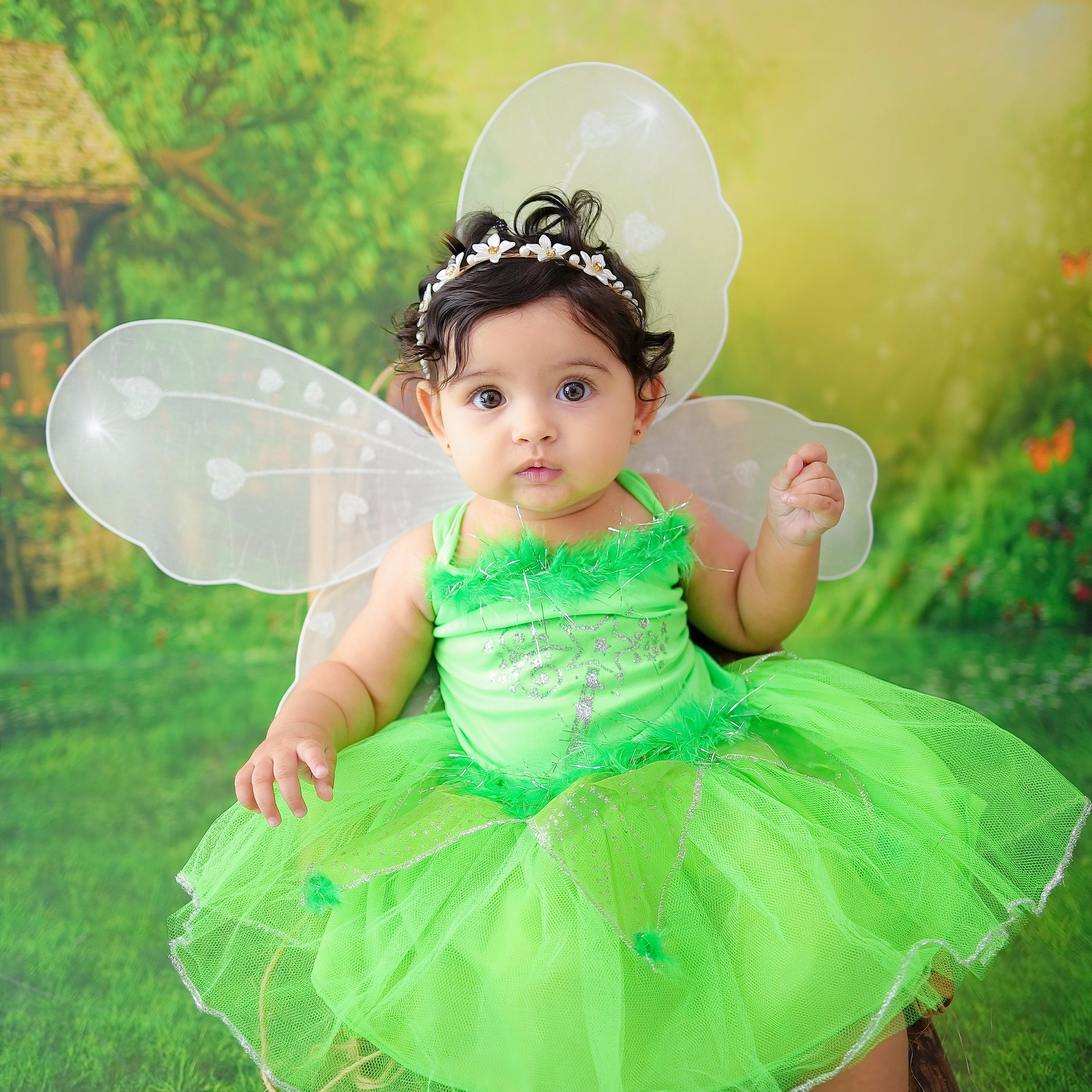 Fadinha (4M-12M)