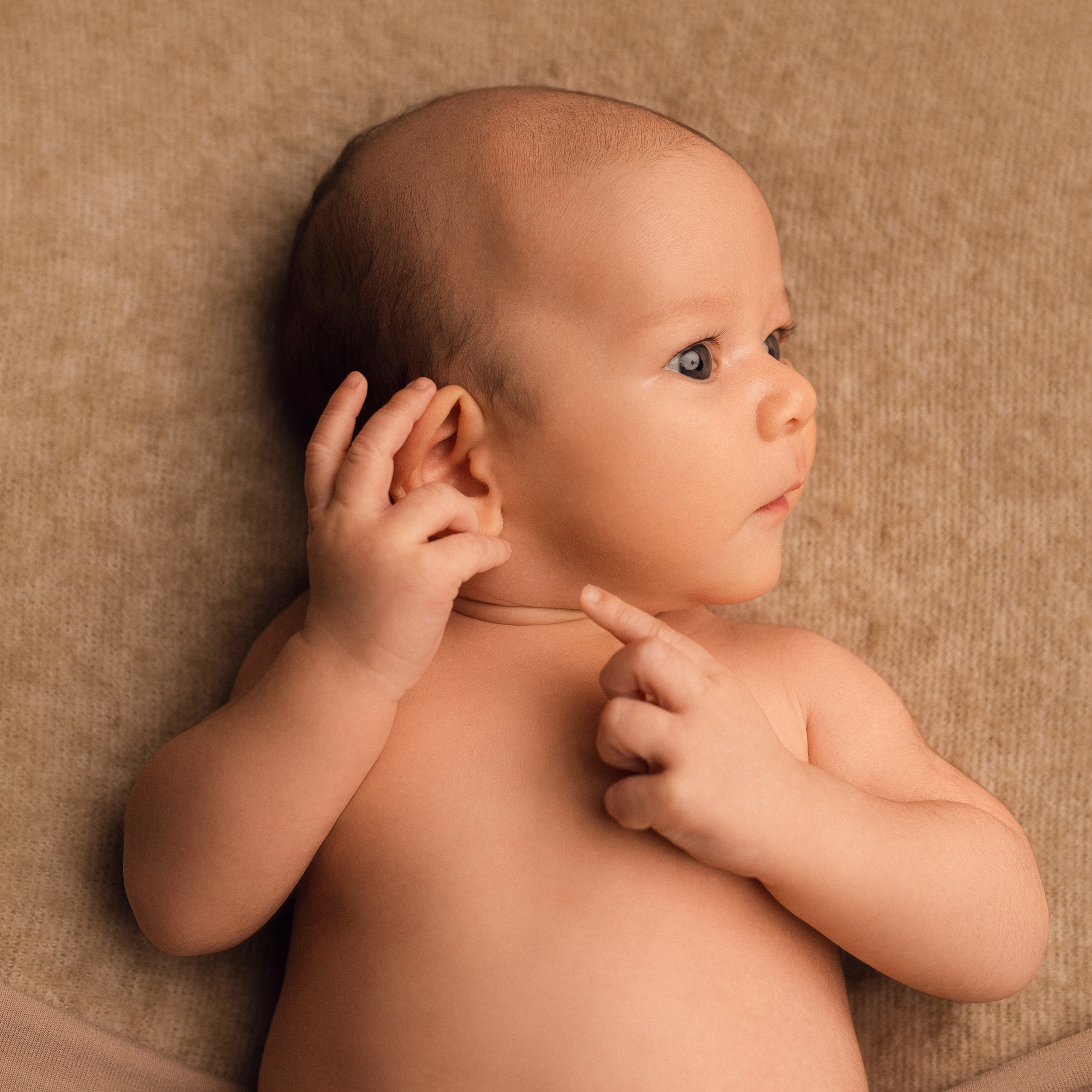 Testimonials. Ottawa Newborn and Baby Newborn Photographer Elena Helali