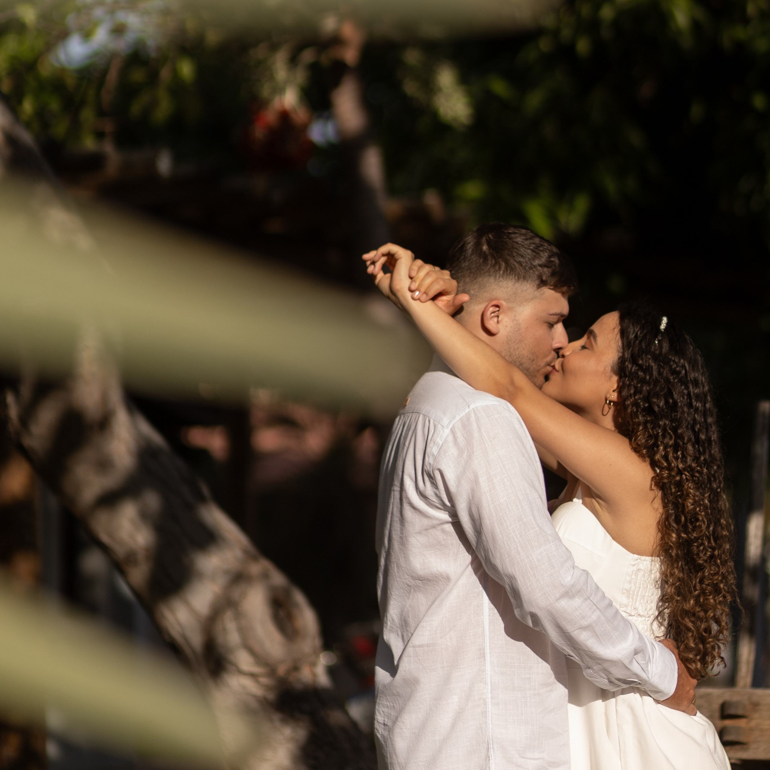 Ícaro e&nbsp;Veila