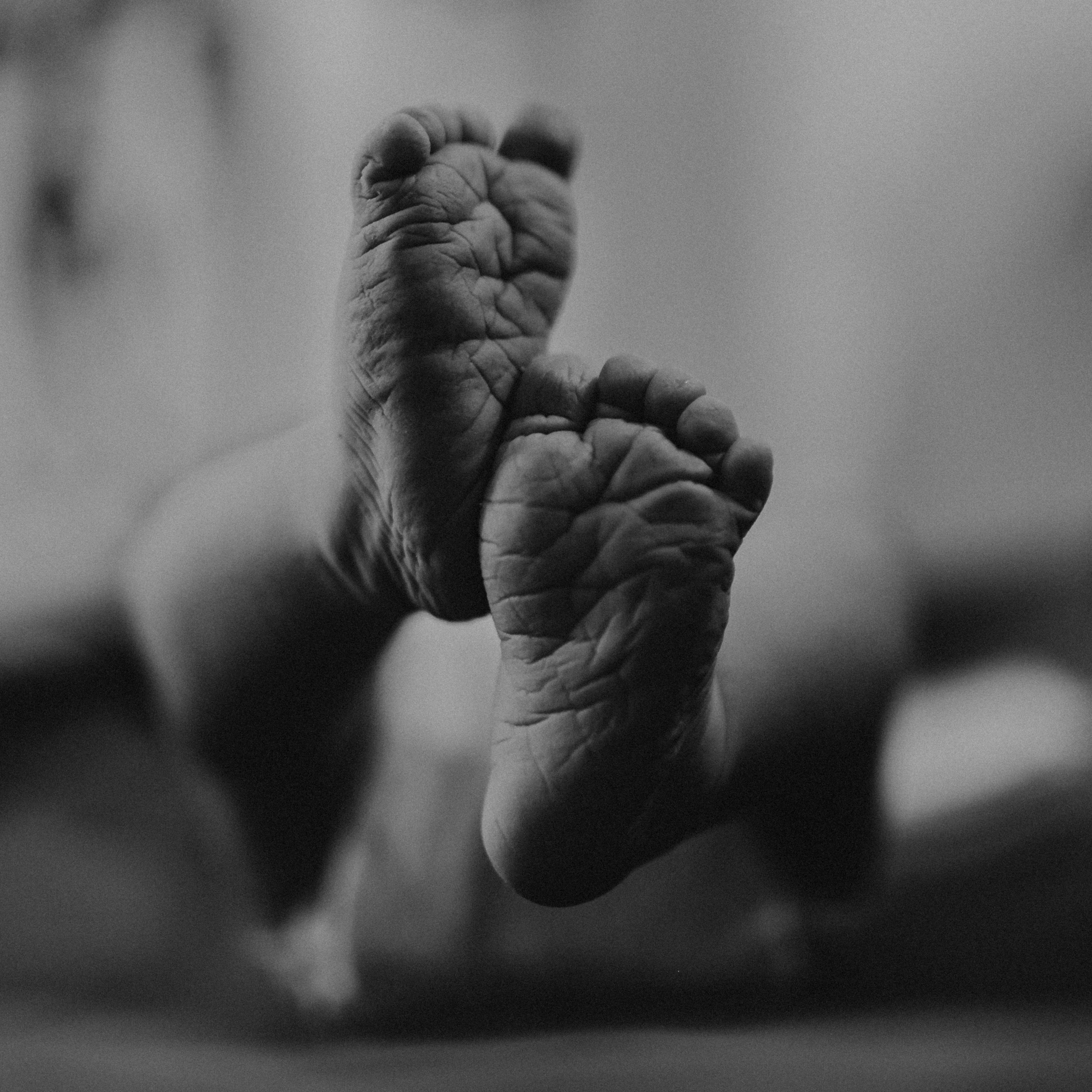 Stories. Fotografa de família e crianças em Florianópolis SC Daria Ermolaev