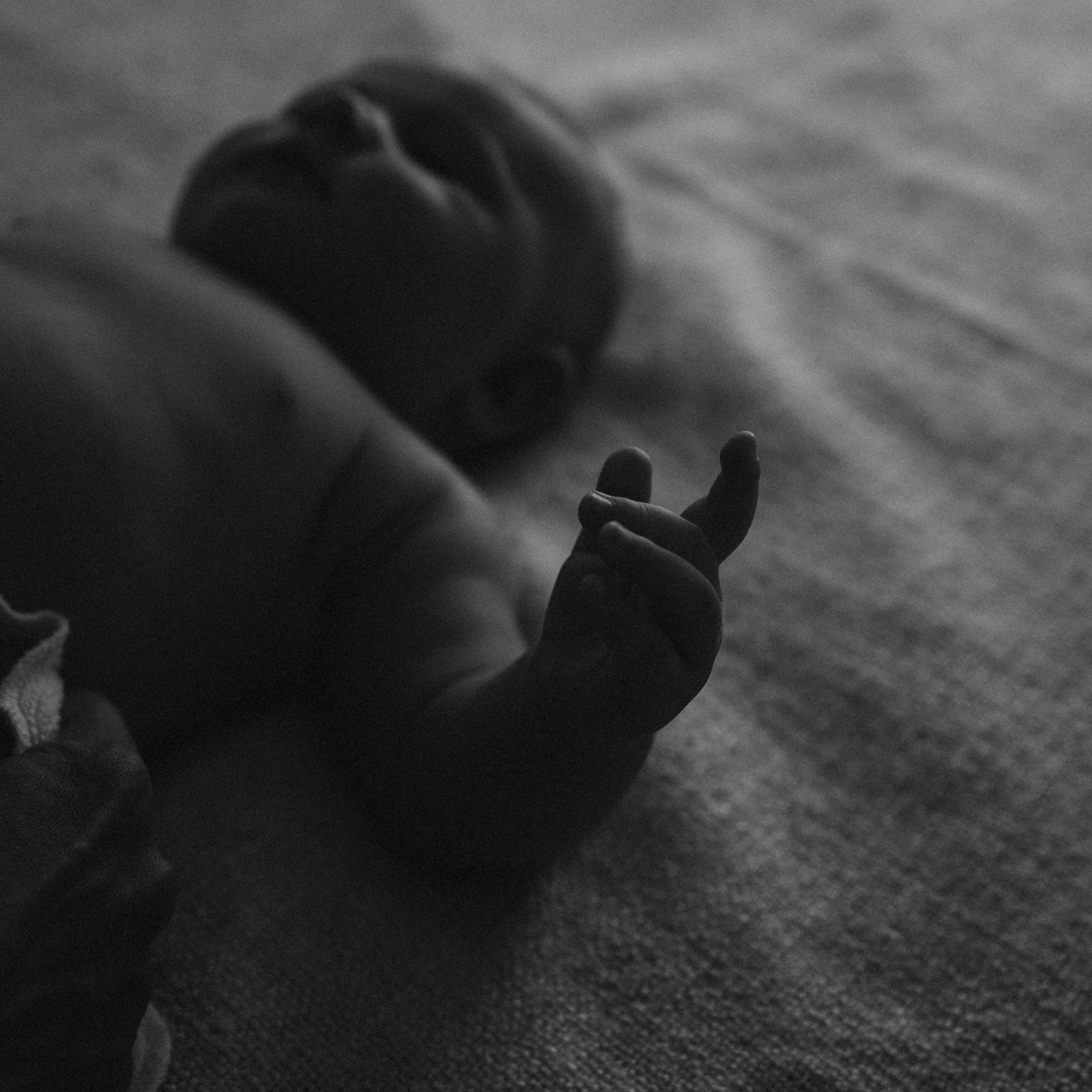 Manezinho Tom. Fotografa de família e crianças em Florianópolis SC Daria Ermolaev