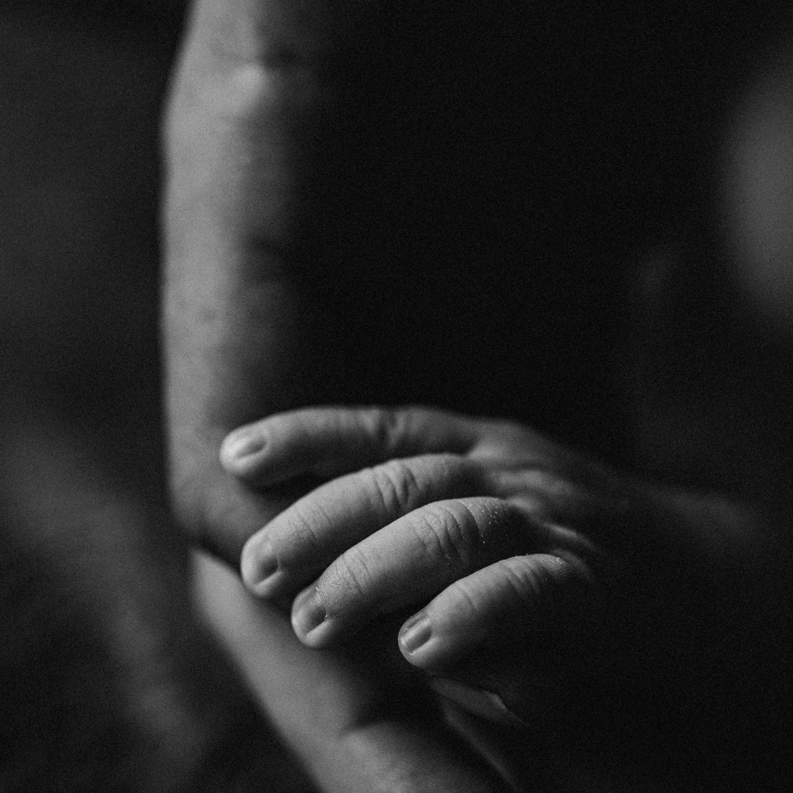 Iris Home BIRTH. Fotografa documental de familia e nascimento em Florianópolis SC Daria Ermolaev