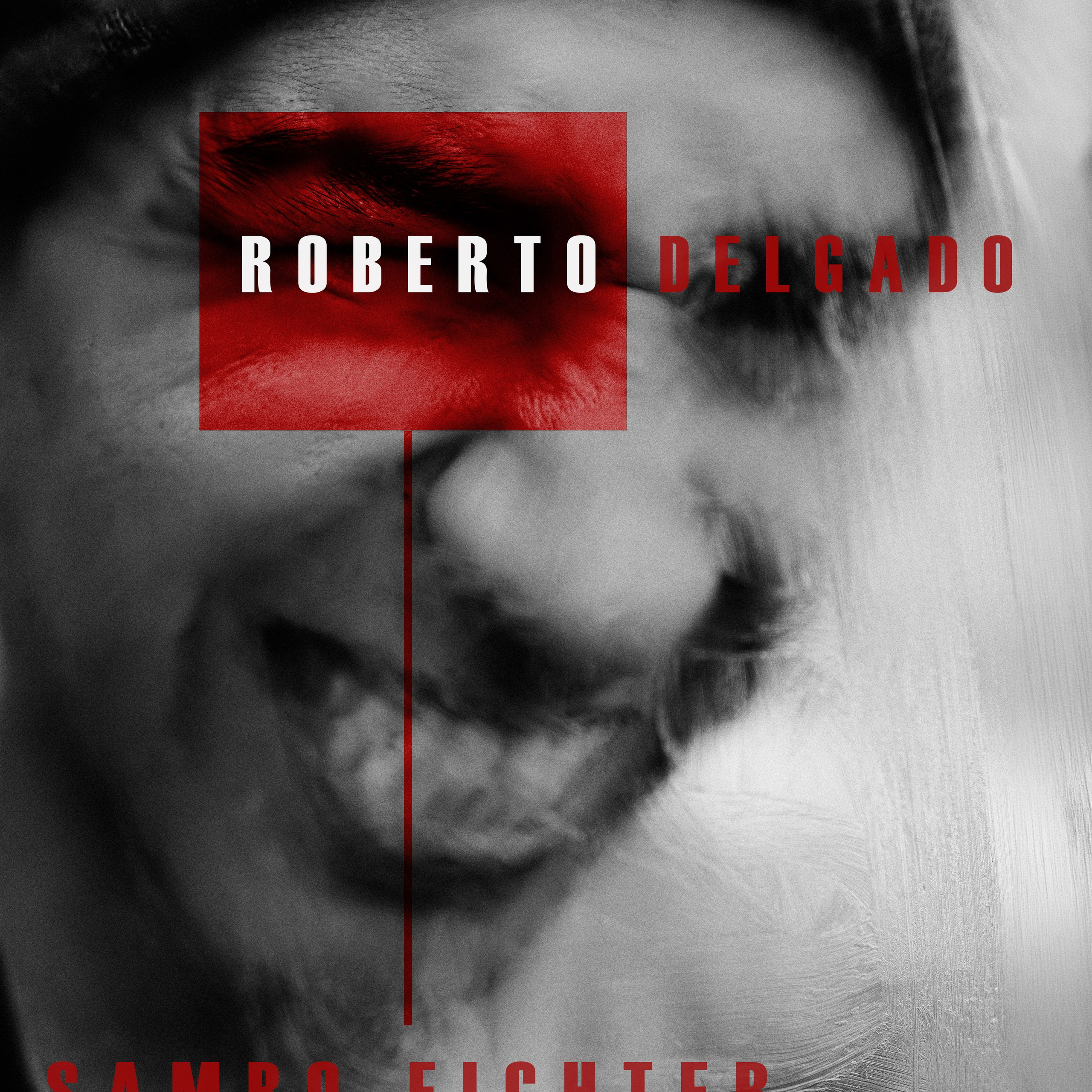 Entre Calles y Combates - Roberto Delgado