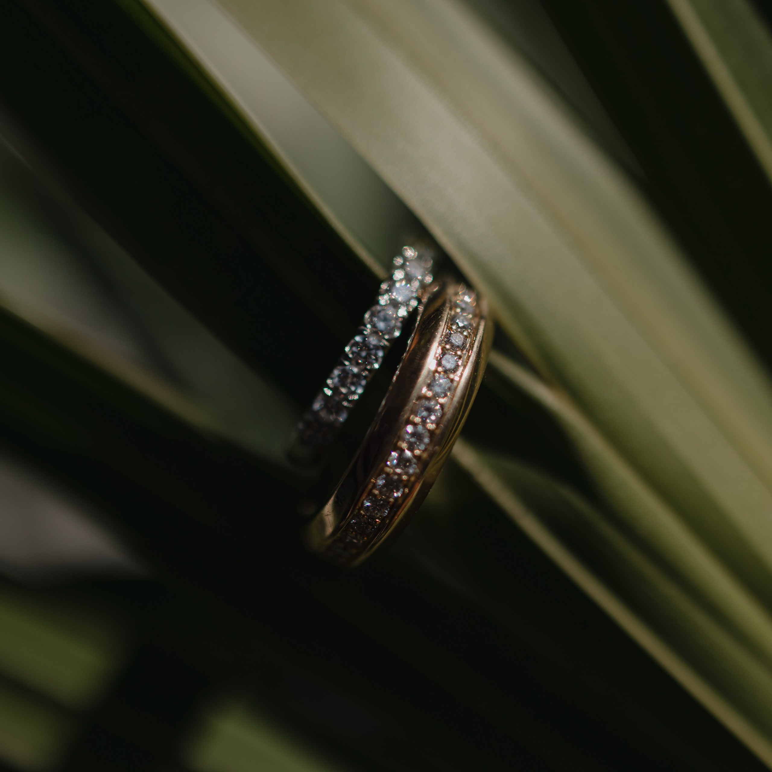 Capturing Love by the Ocean: A Destination Wedding at Sheraton Puerto Vallarta Resort & Spa