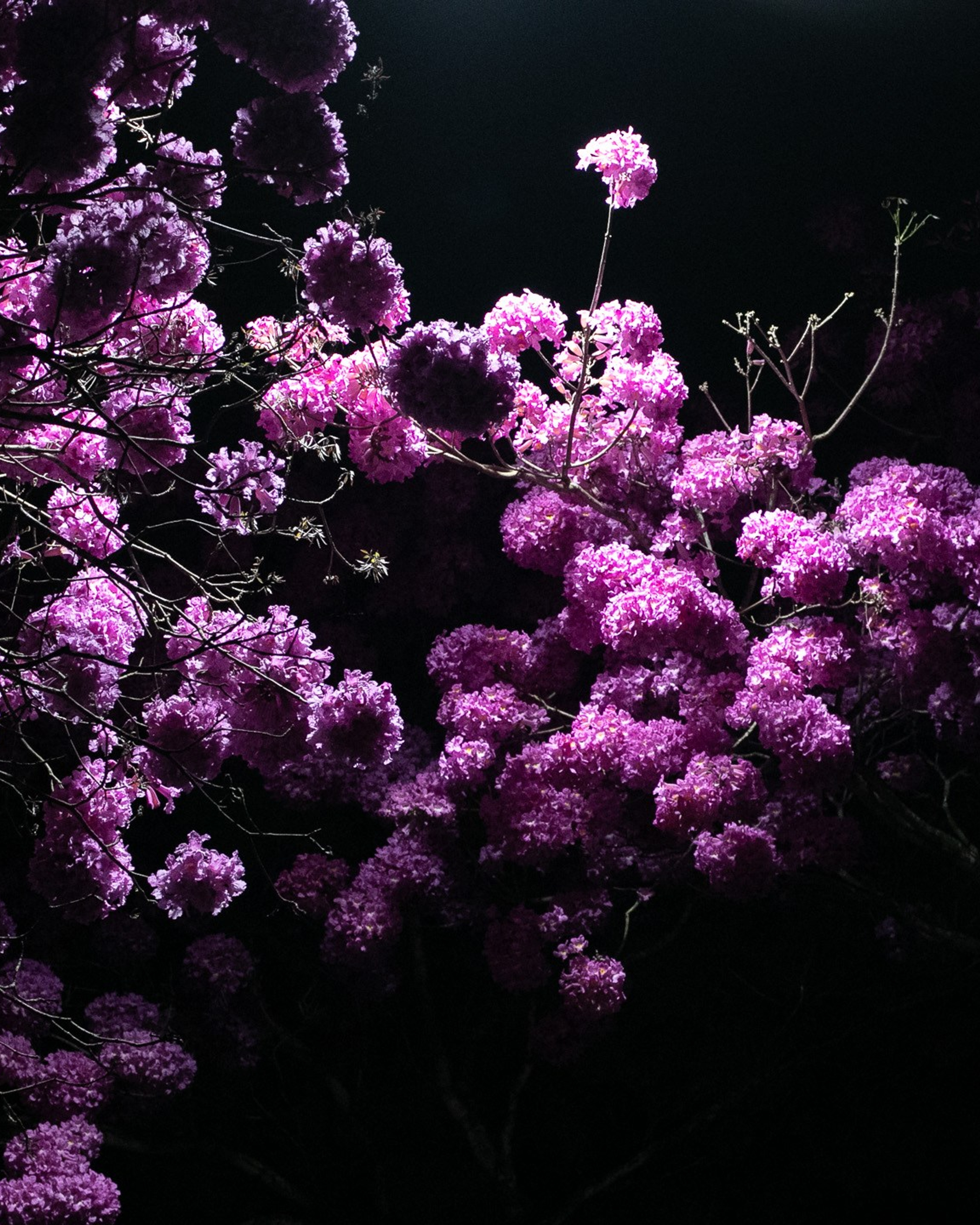 Natureza