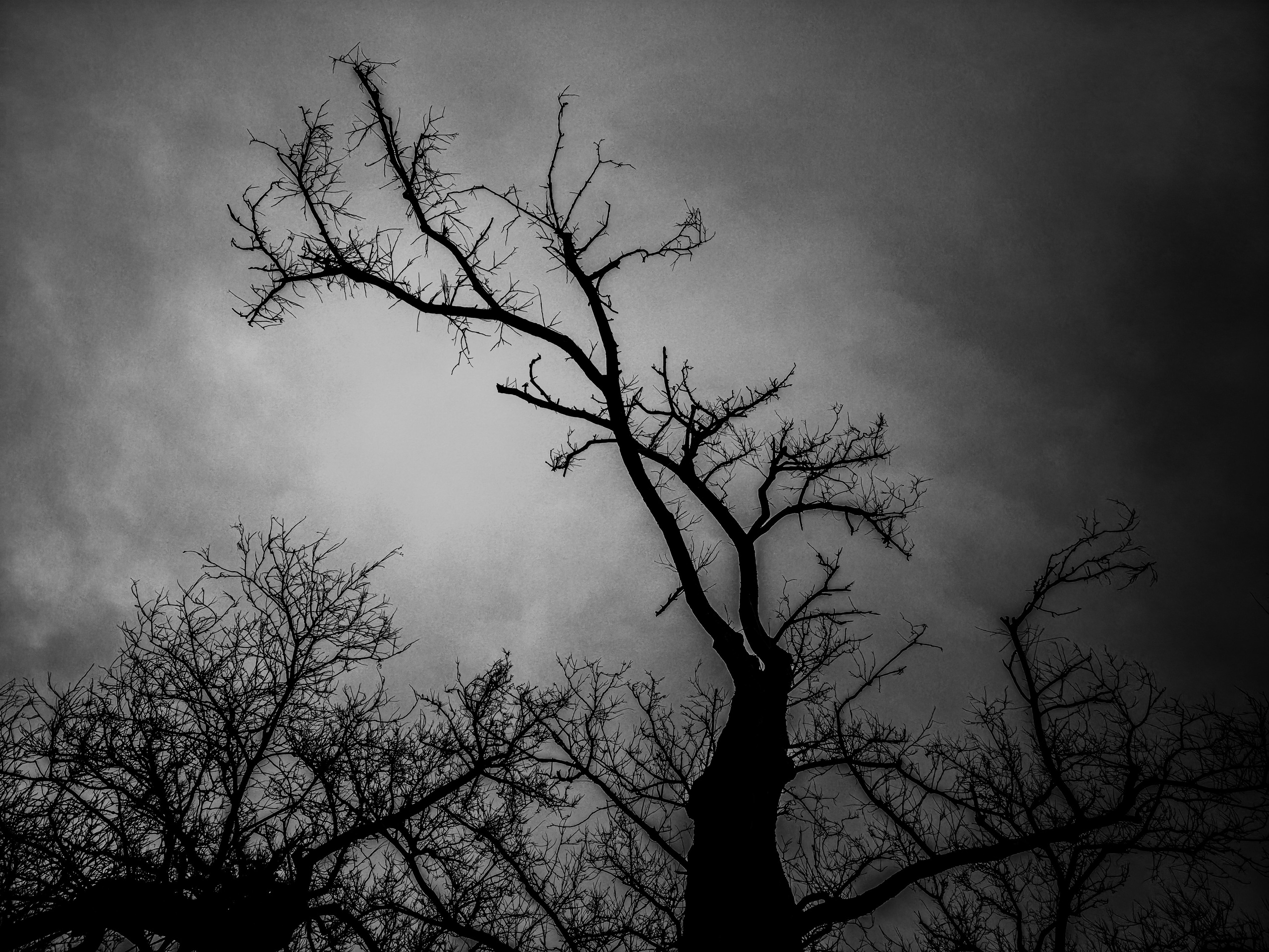 Monochrome at Aurea Photogallery — Taeyoung Kang | SIGANFRAME