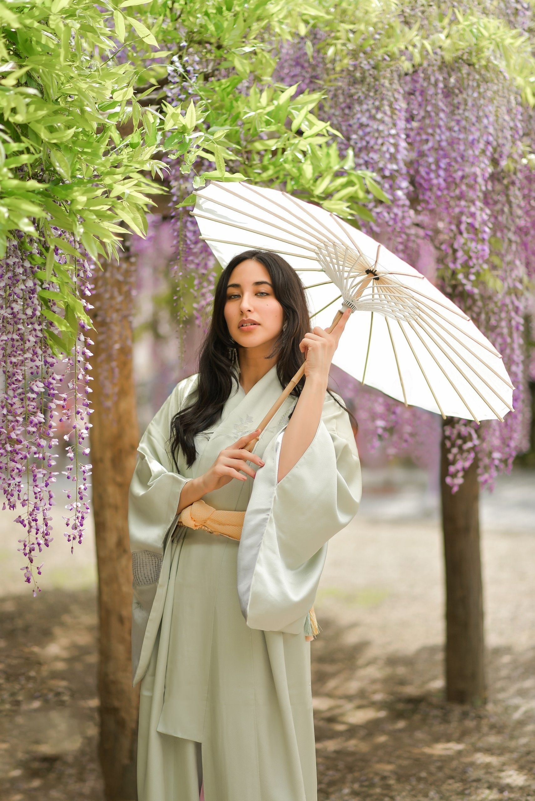 Kimono. Photographer in Tokyo, Japan