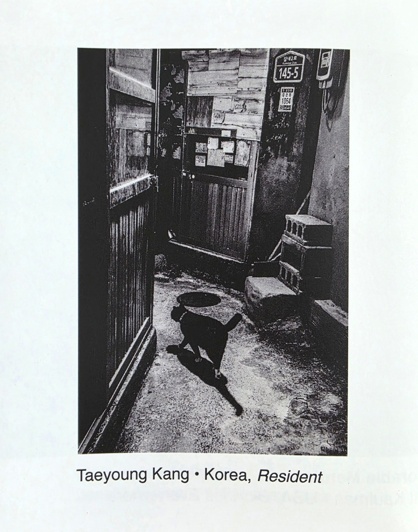 The Shadow Aspect at Praxis Gallery — Taeyoung Kang | SIGANFRAME