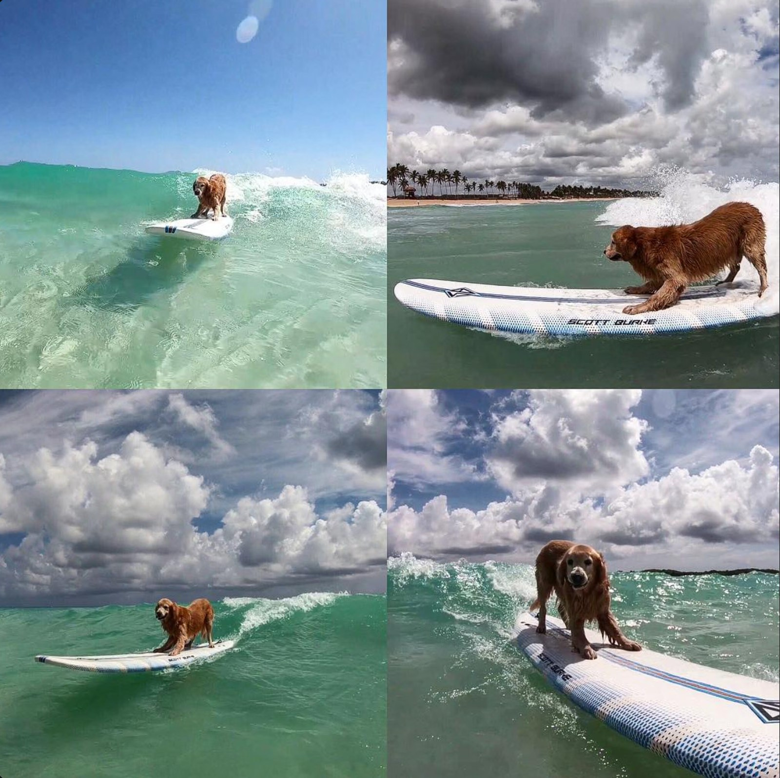 Everything about Macao Beach in the Dominican Republic | Punta Cana photographer Alex Po