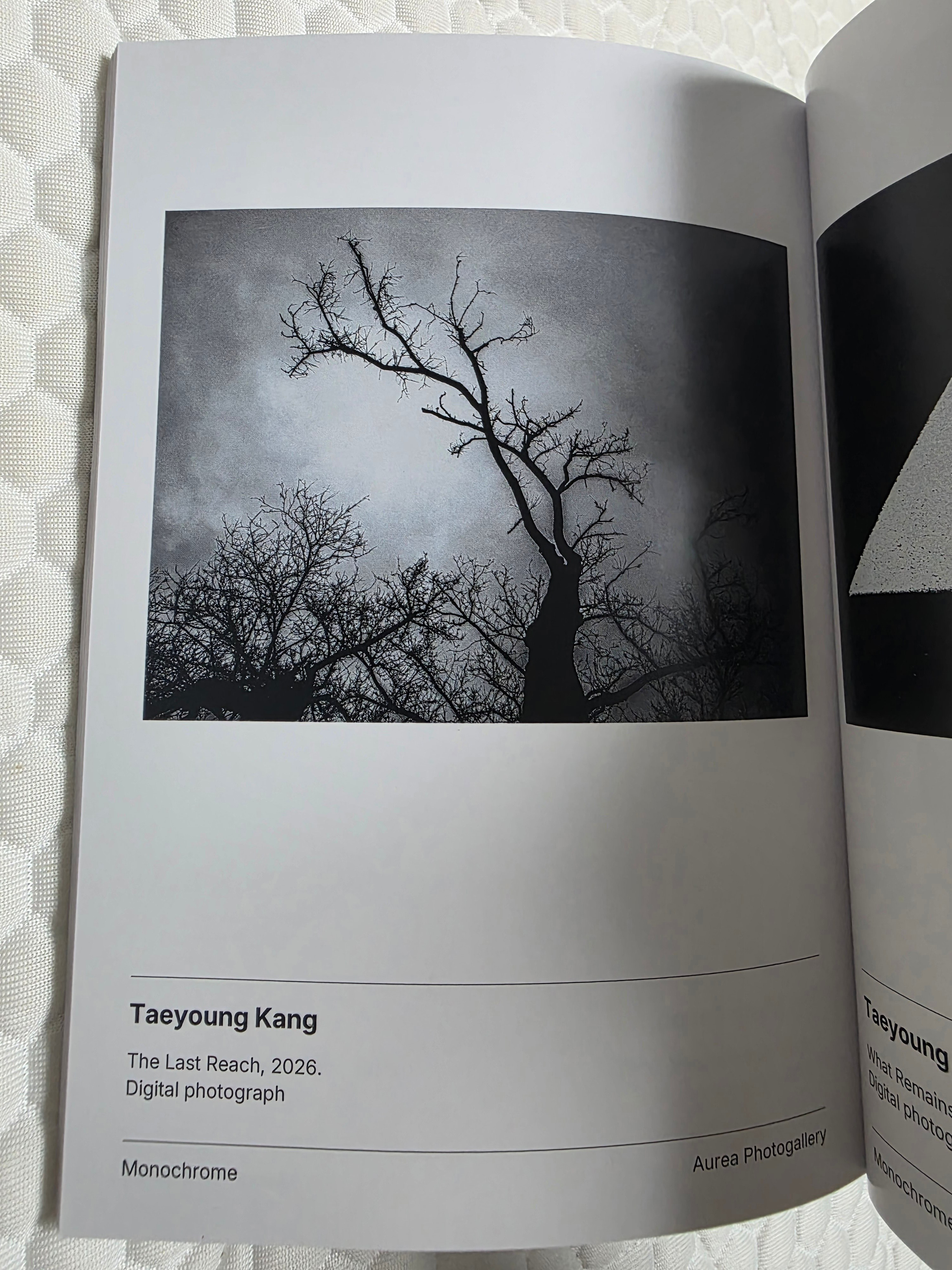 Monochrome at Aurea Photogallery — Taeyoung Kang | SIGANFRAME