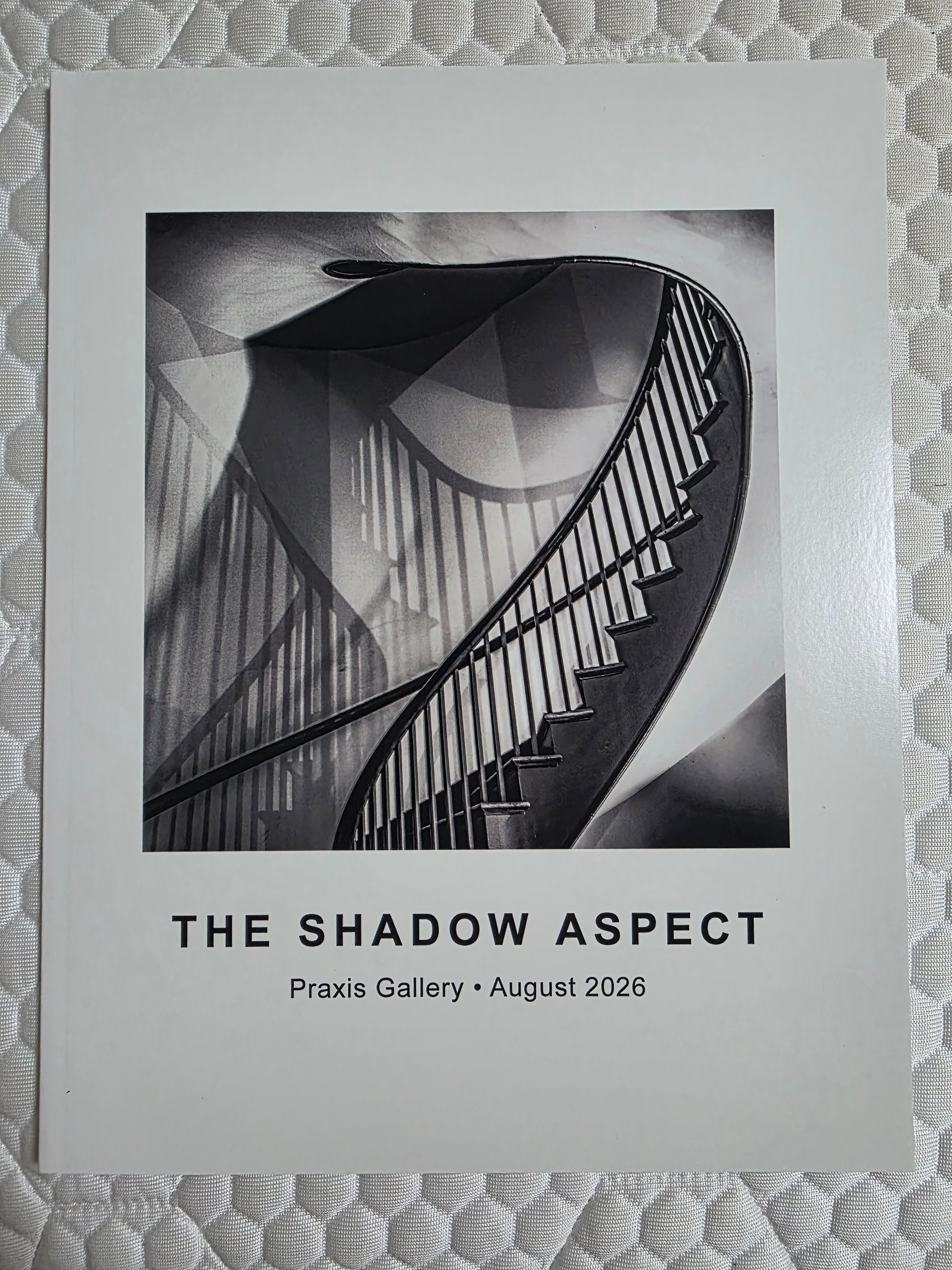 The Shadow Aspect at Praxis Gallery — Taeyoung Kang | SIGANFRAME