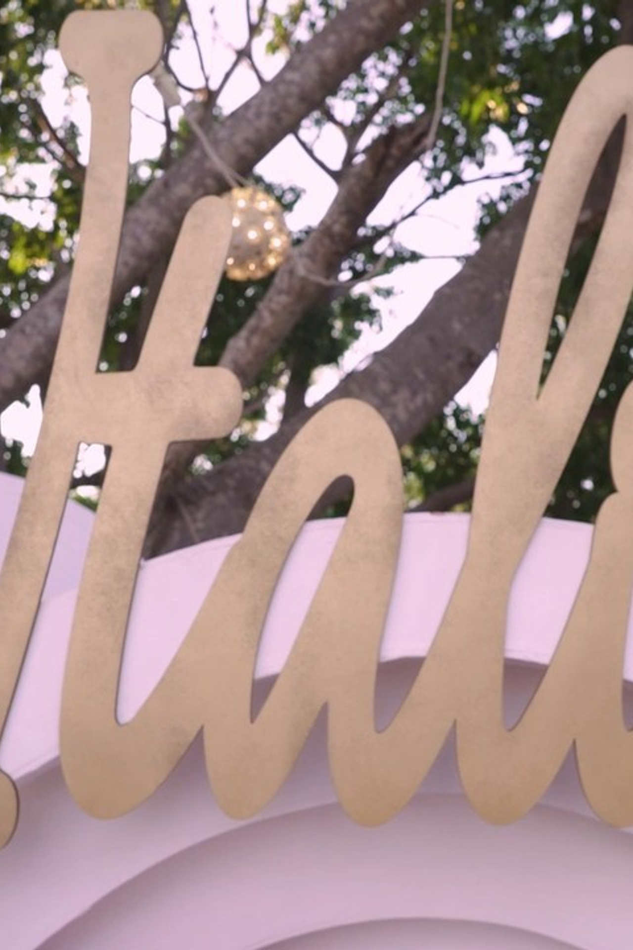 Testimonios. Fotografía de Bodas Profesionales en Puerto Vallarta y Riviera Nayarit