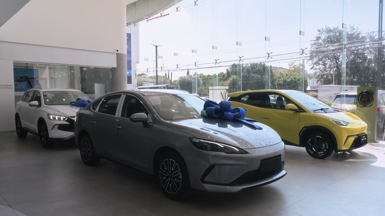 BYD Querétaro