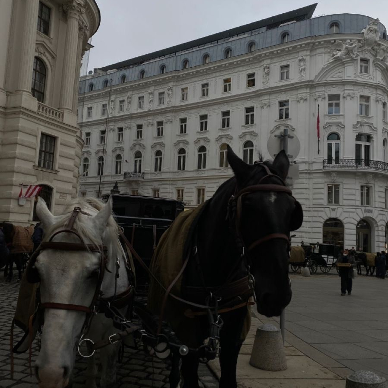 Vienna Photo Day. Photographer and Blogger Europe/Asia Nika Stoma