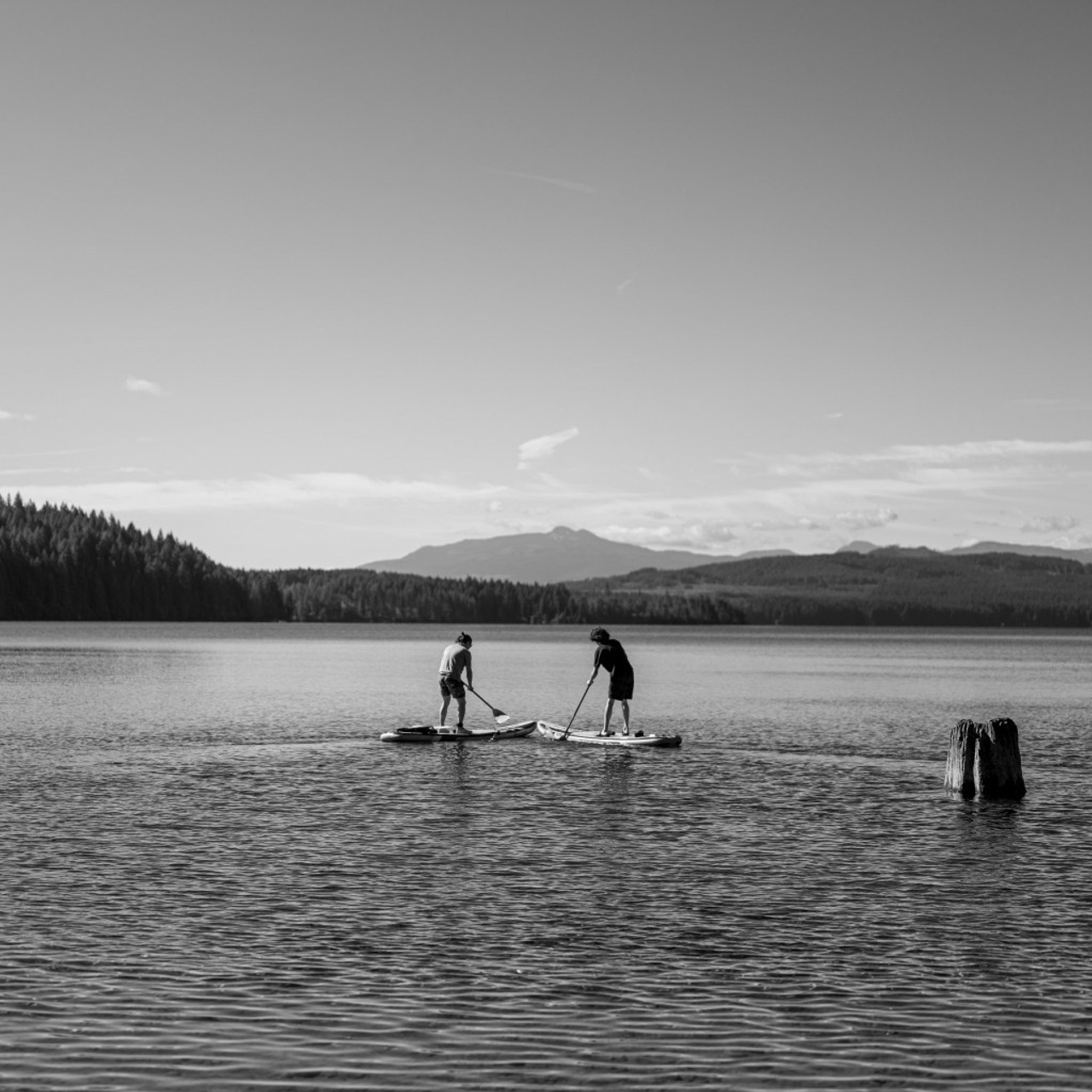 Client Reviews | Artparadox Photography. Courtenay, BC Photographer | Comox Valley | artparadoXsnapforge