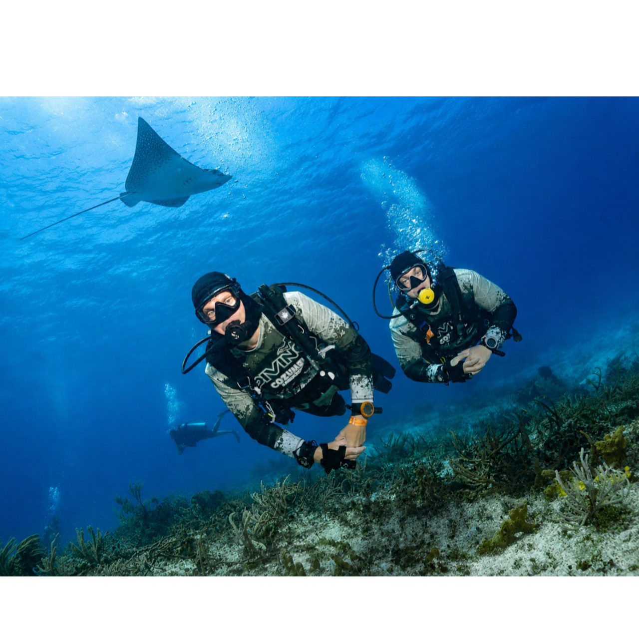 Testimonials. Your photographer on land and under water— Alexey Zaytsev