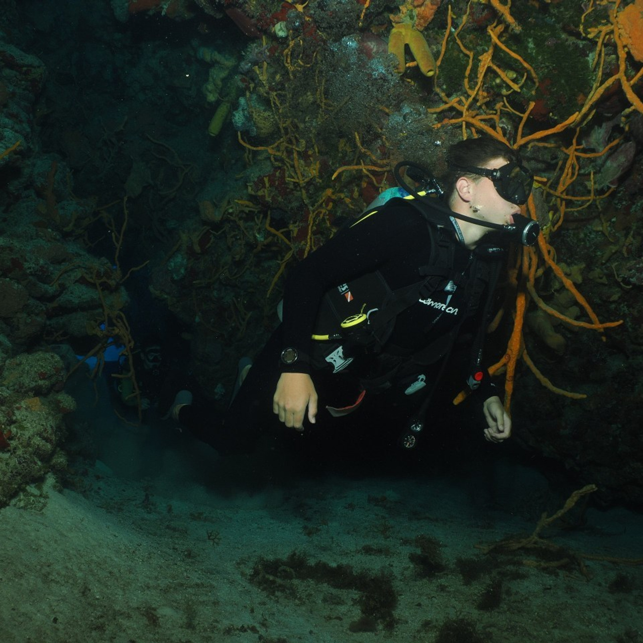 Testimonials. Your photographer on land and under water— Alexey Zaytsev