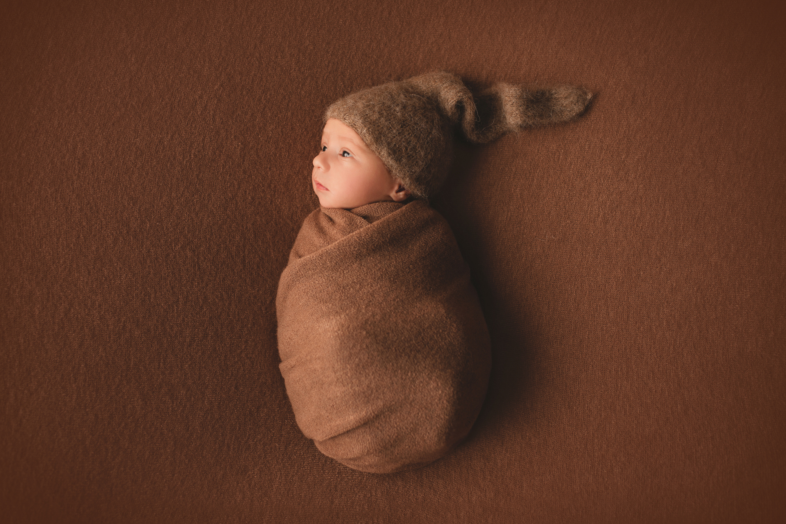 Investment. Ottawa Newborn and Baby Newborn Photographer Elena Helali