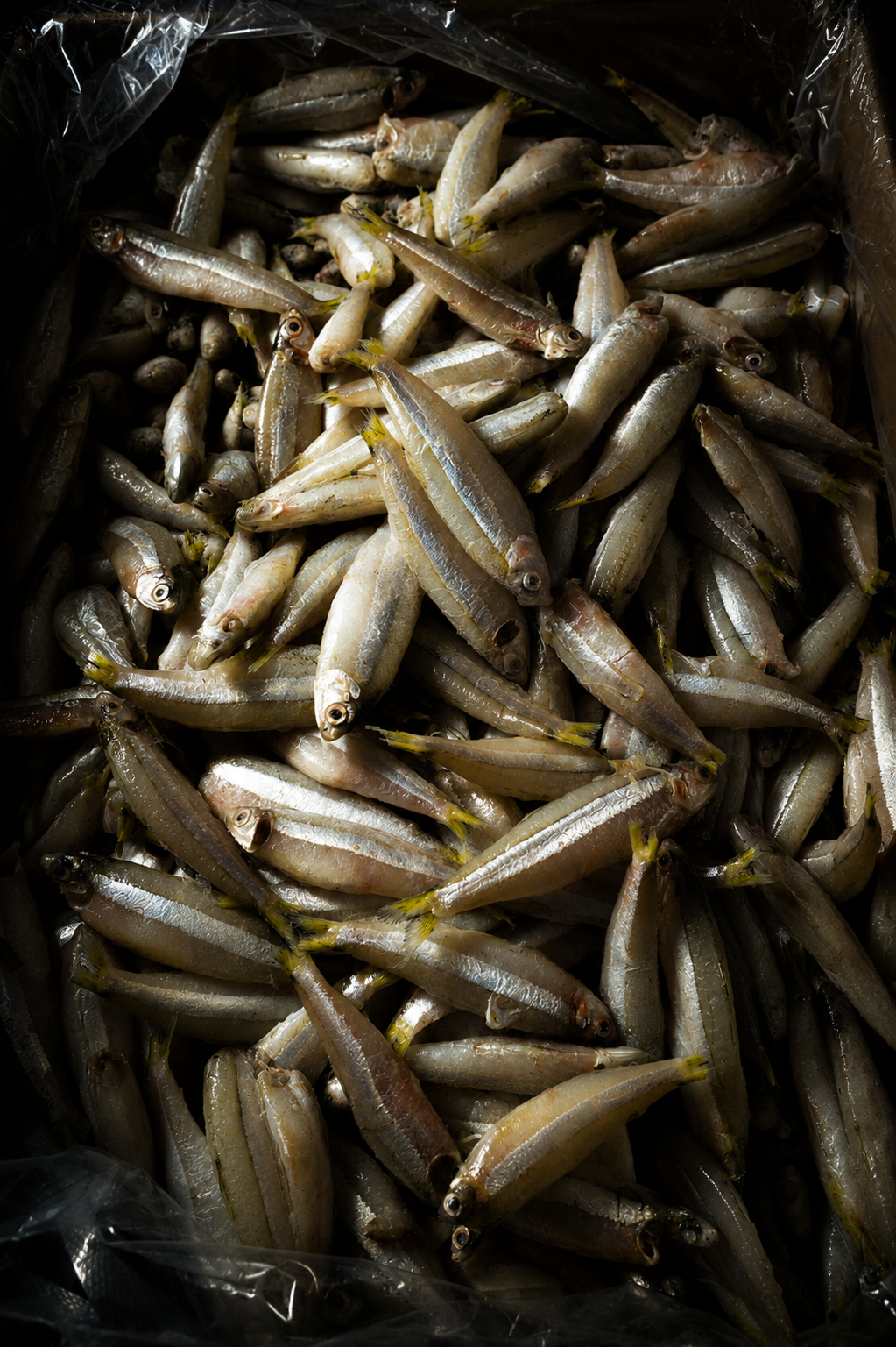 Japanese Food. Commercial Food Photography & Films