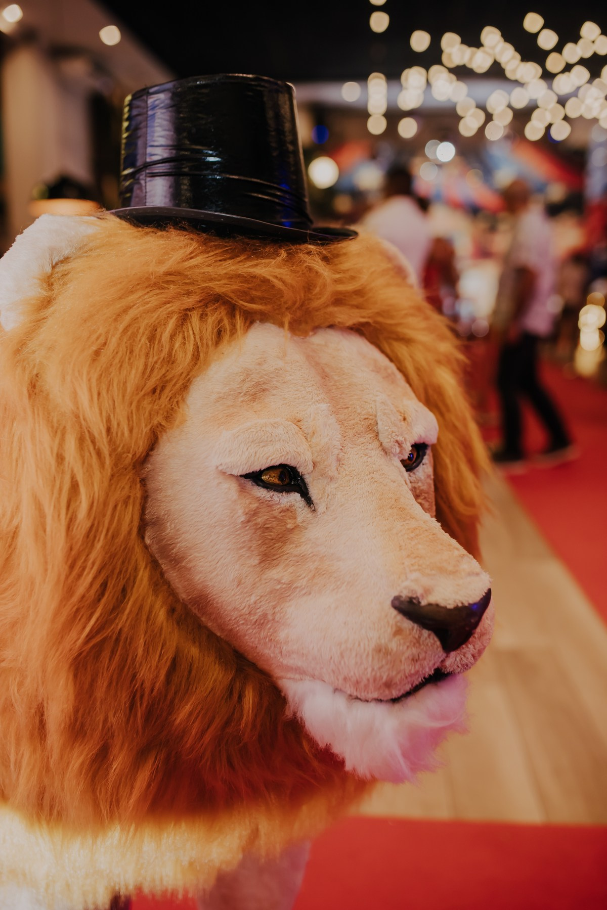Juninho — 1 ano. Fotógrafa de Eventos em São Paulo e Sorocaba Kika Damasceno
