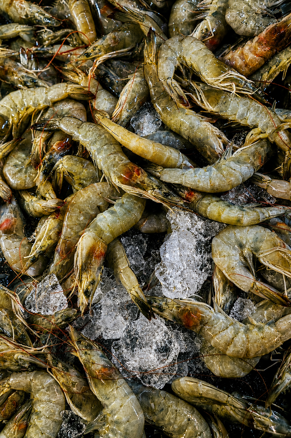 Japanese Food. Commercial Food Photography & Films