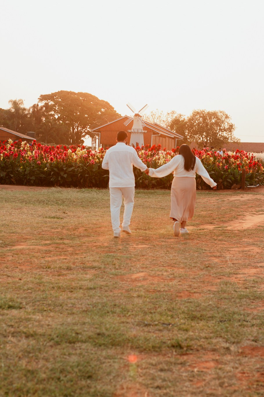 Pedido de Casamento e Pré-Wedding em Holambra | Joyce Maria Fotografia. Joyce Maria Fotografia | Fotógrafa em Holambra
