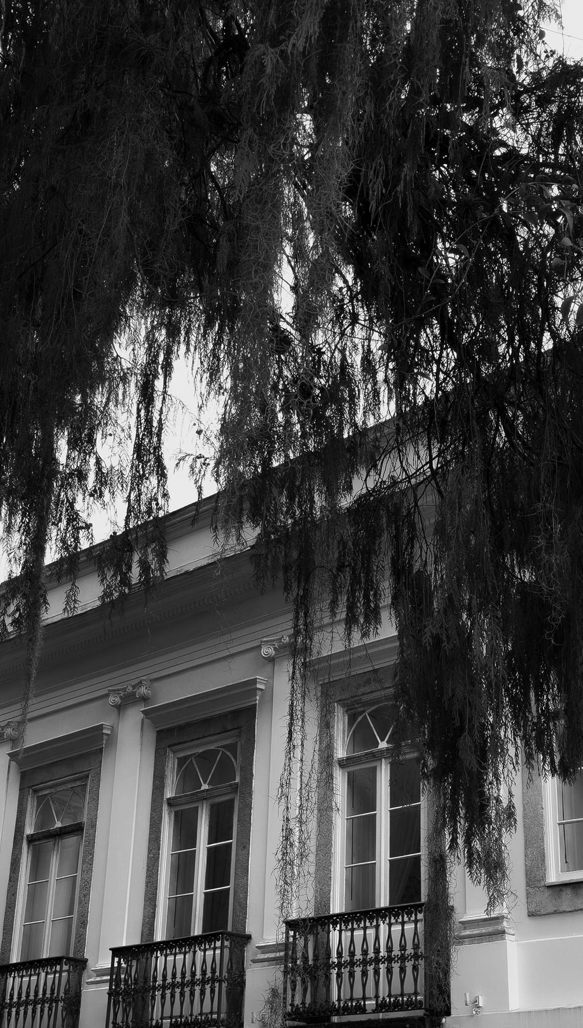 JOSSANA & MAICON. SANTIER // cobertura de stories