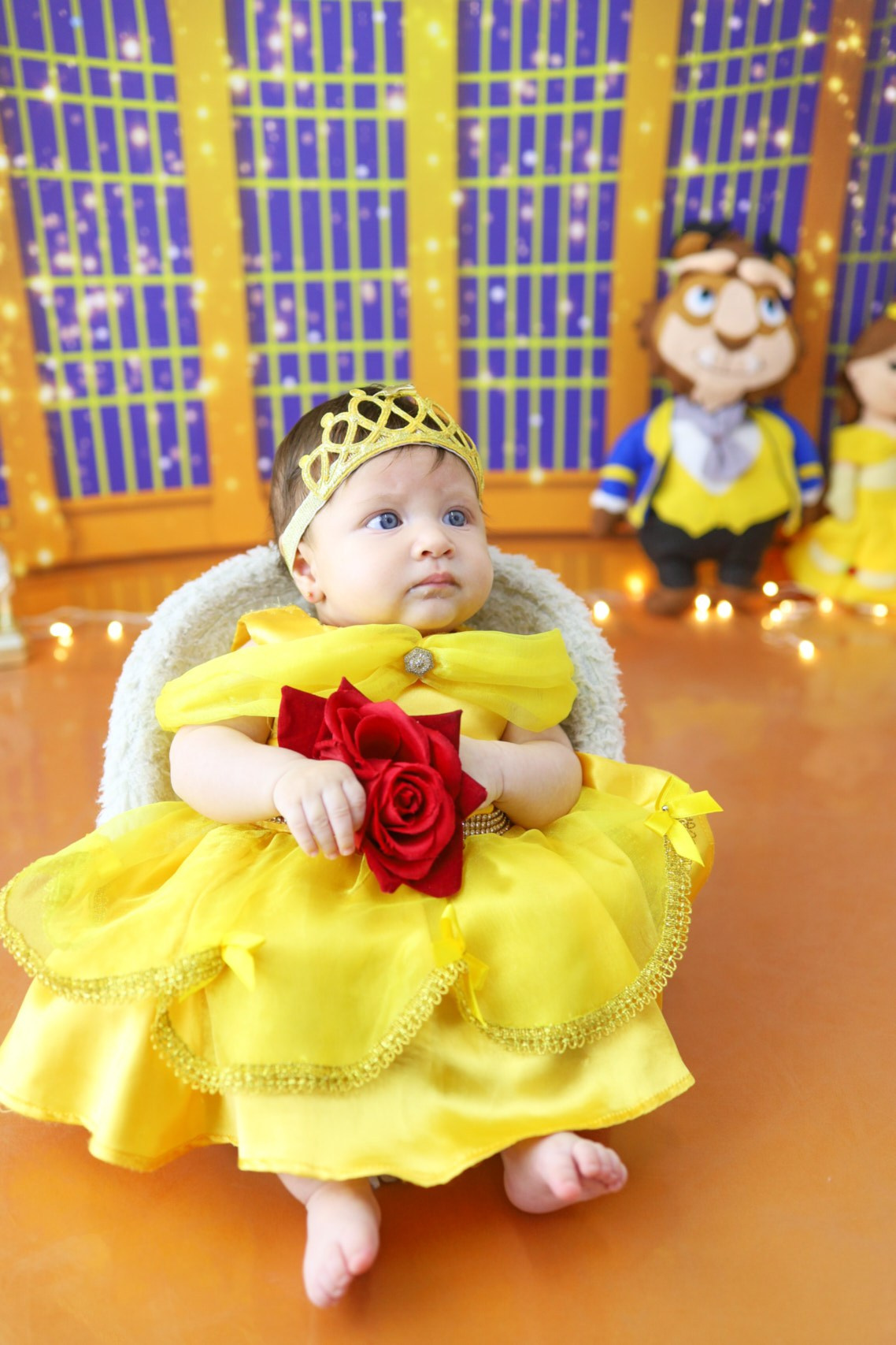 Bela e a Fera (3M-12M). Estúdio Gustavo Bueno