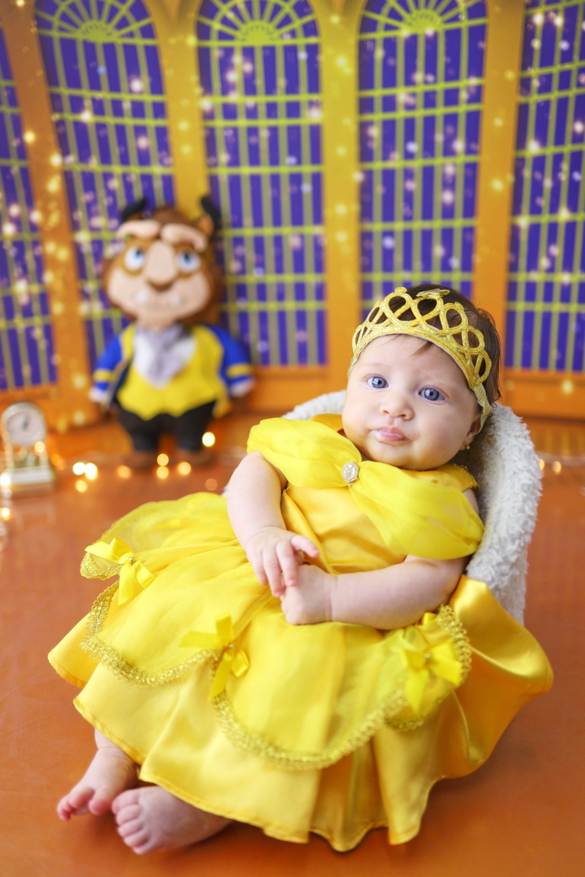 Bela e a Fera (3M-12M). Estúdio Gustavo Bueno