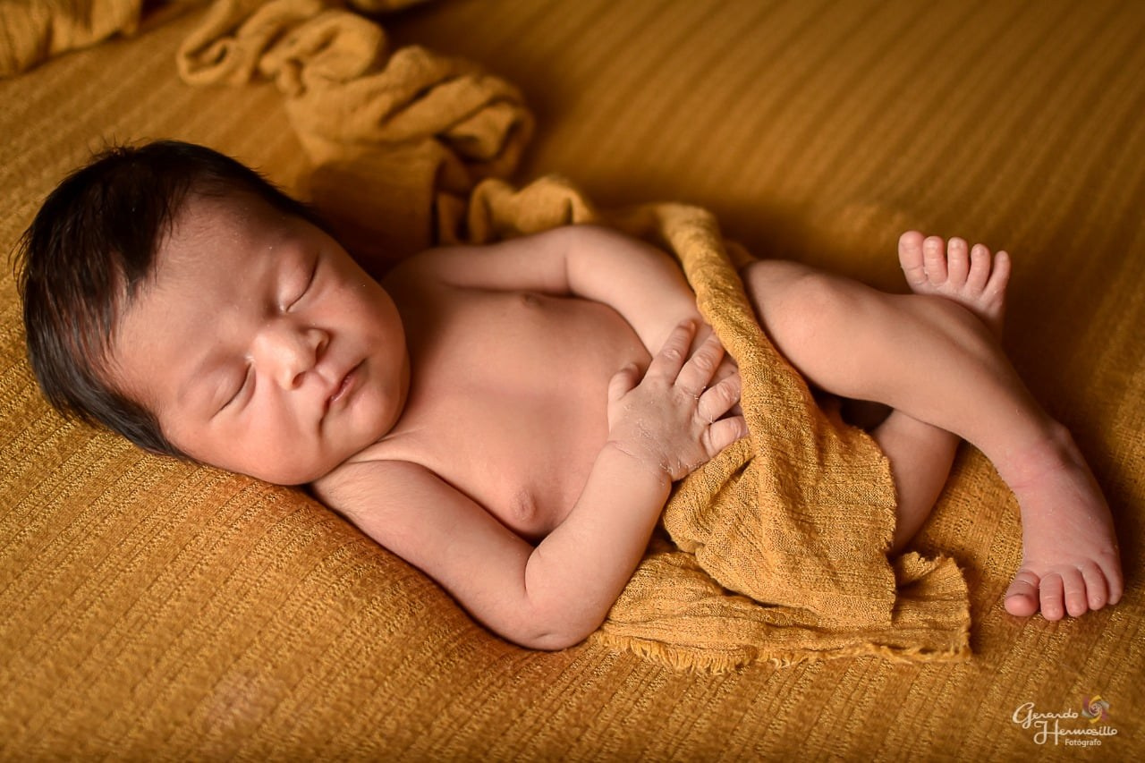 New Born. HERMOSILLO STUDIO