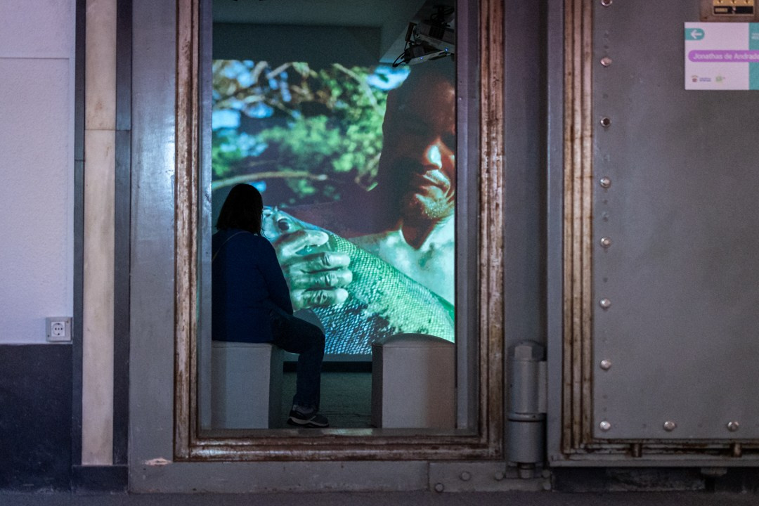 CV. Curator Maíra C. Gamarra
