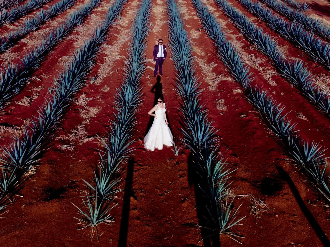 Fotografias de Boda. Javier Plascencia Fotografo de Bodas en México
