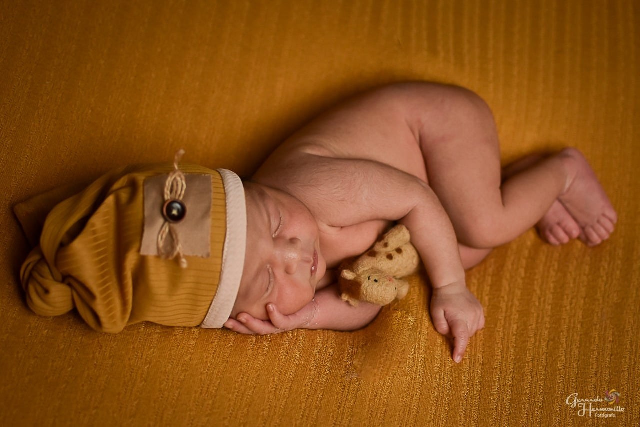 New Born. HERMOSILLO STUDIO