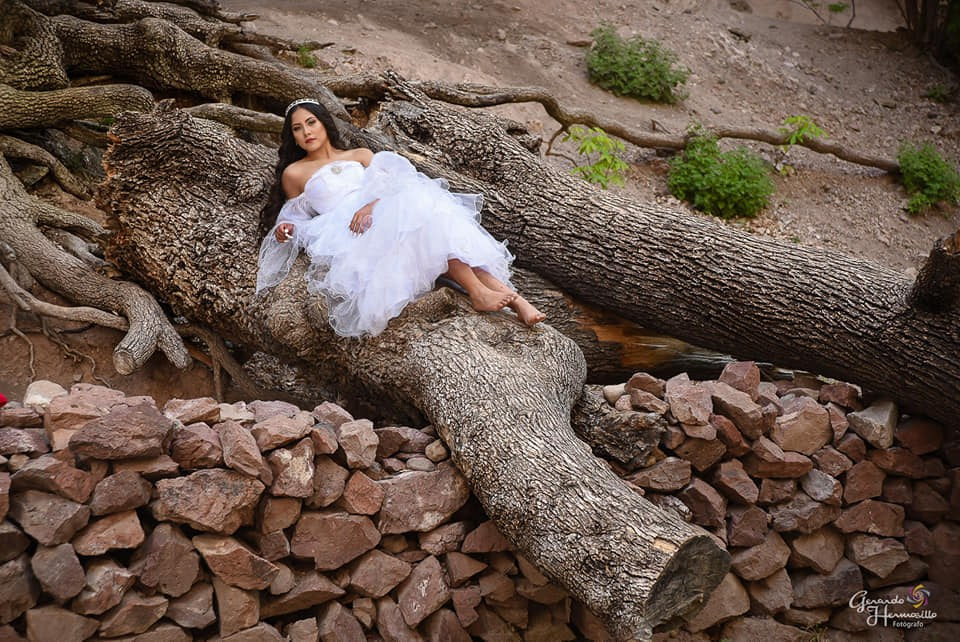 Mis XV. HERMOSILLO STUDIO