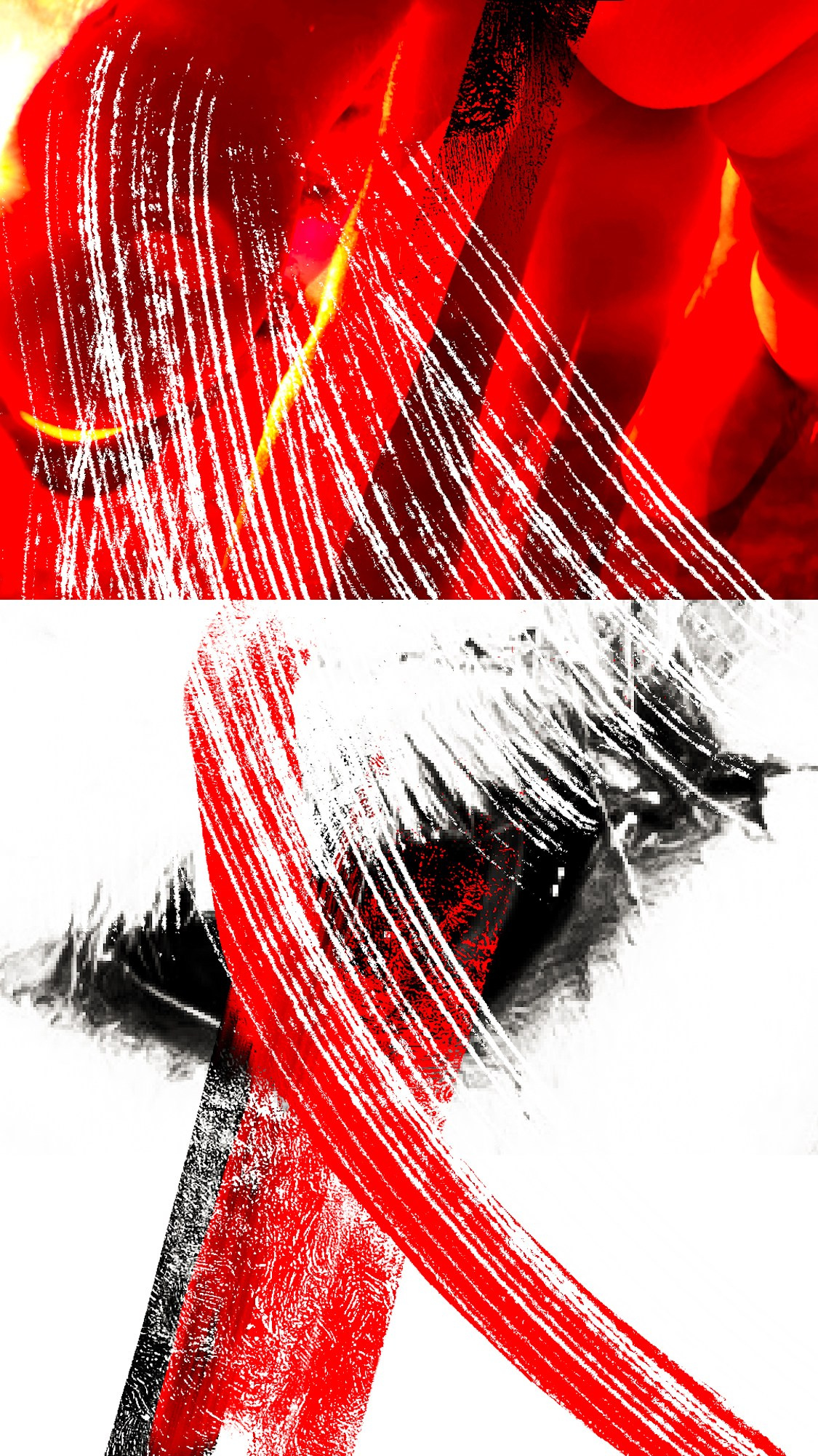 Photography’ Clipping. Ekaterina Tsurkina-Appina Photography Canada