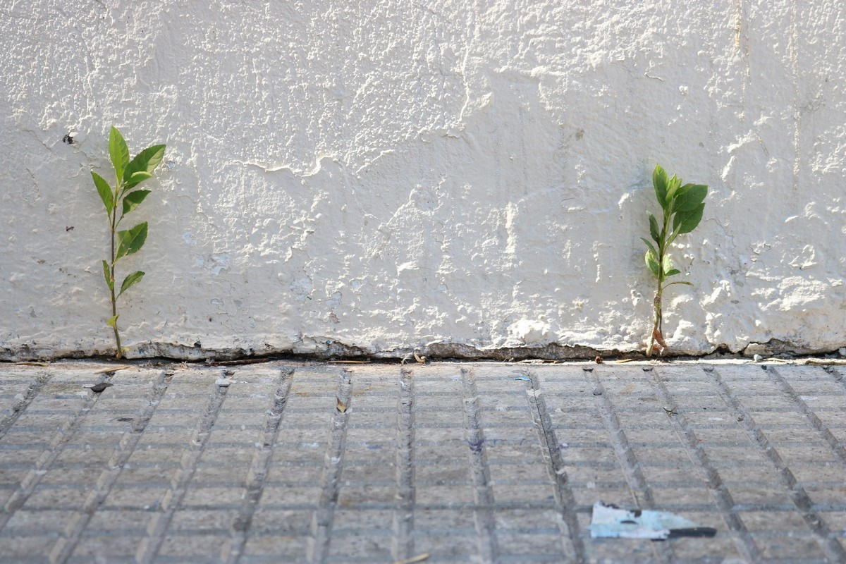 Buenos Aires. Proyecto fotográfico